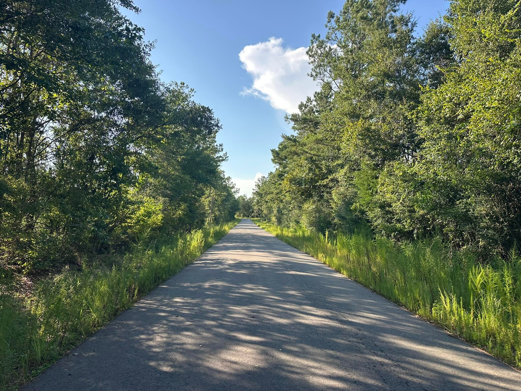 Located along recently paved Yellow River Baptist Church Road in Baker, FL, this 10.3+/- acre tract offers a chance to own a sizable piece of rural property in a quiet North Florida setting. The wooded acreage provides a natural backdrop for outdoor recreation, hunting, exploring, or simply enjoying your own private piece of land. With plenty of room to make the property your own, this tract is well suited for those looking for space, privacy, and the freedom that comes with owning acreage.