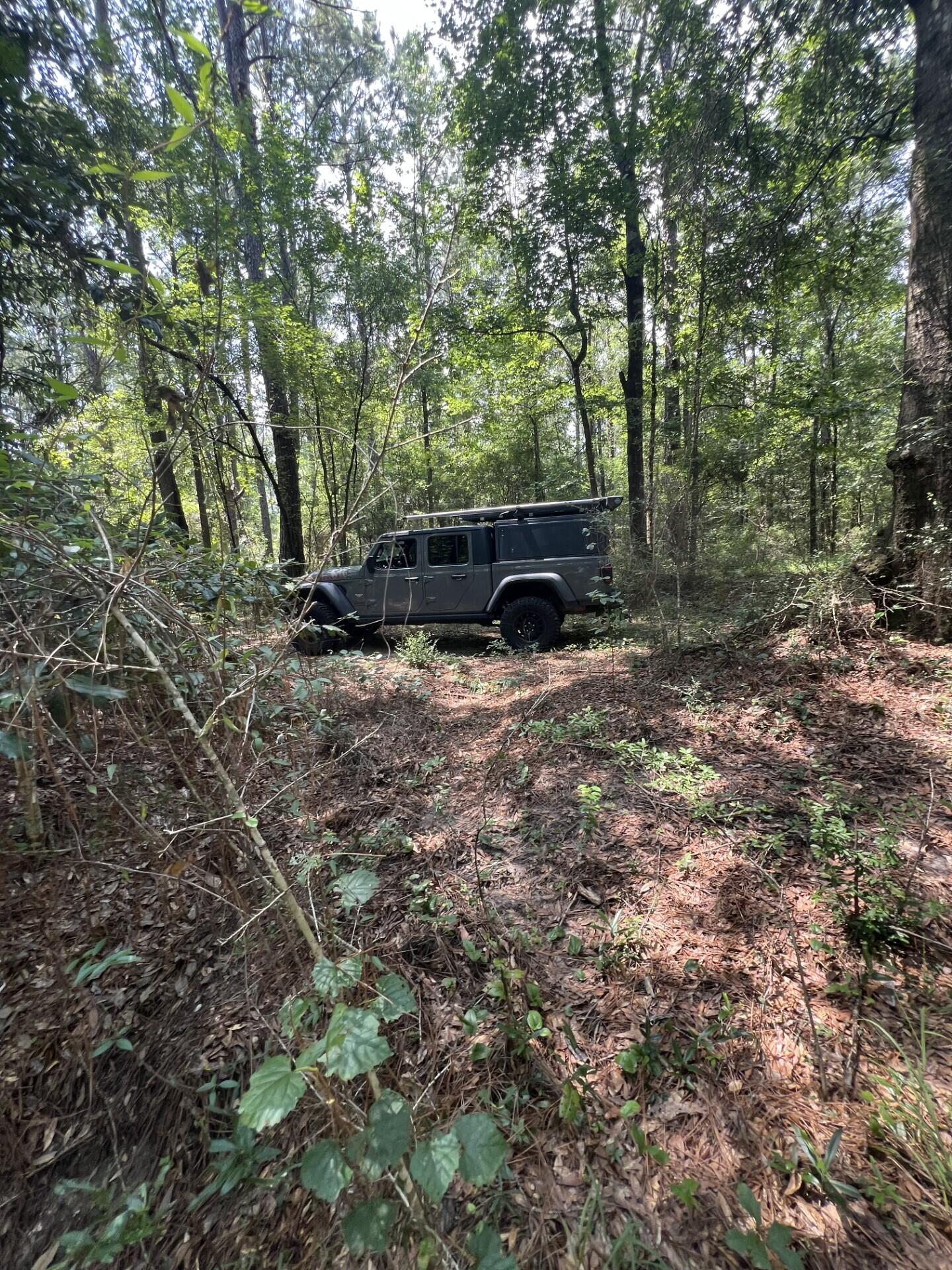 Adjacent to, but not part of, Walton Plantation, Laurel Hill. - Land