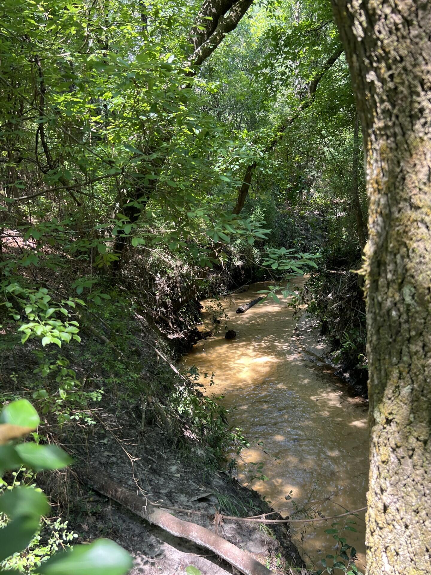 Adjacent to, but not part of, Walton Plantation, Laurel Hill. - Land