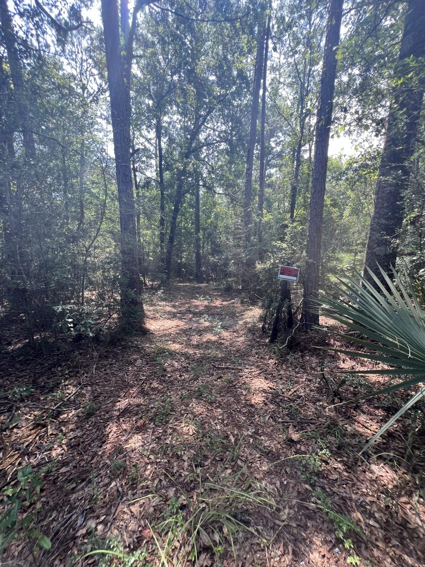 Adjacent to, but not part of, Walton Plantation, Laurel Hill. - Land