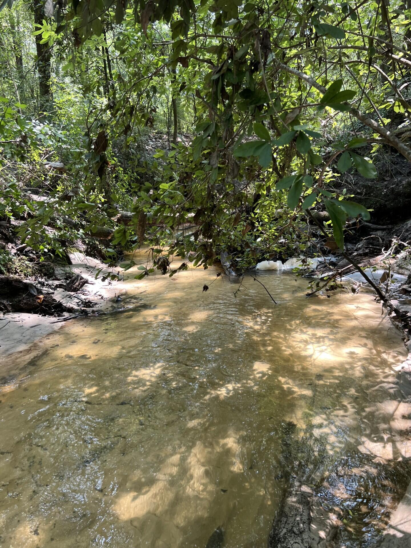 Adjacent to, but not part of, Walton Plantation, Laurel Hill. - Land