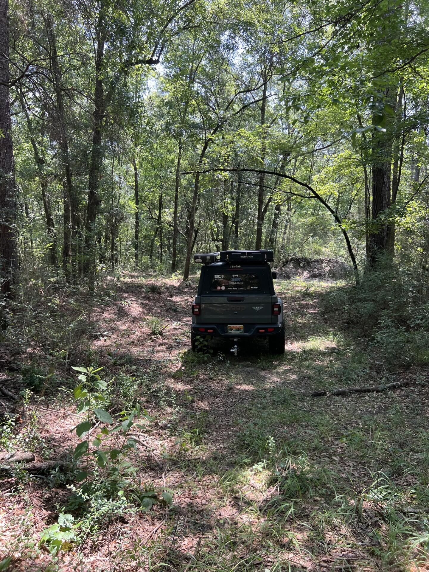Adjacent to, but not part of, Walton Plantation, Laurel Hill. - Land