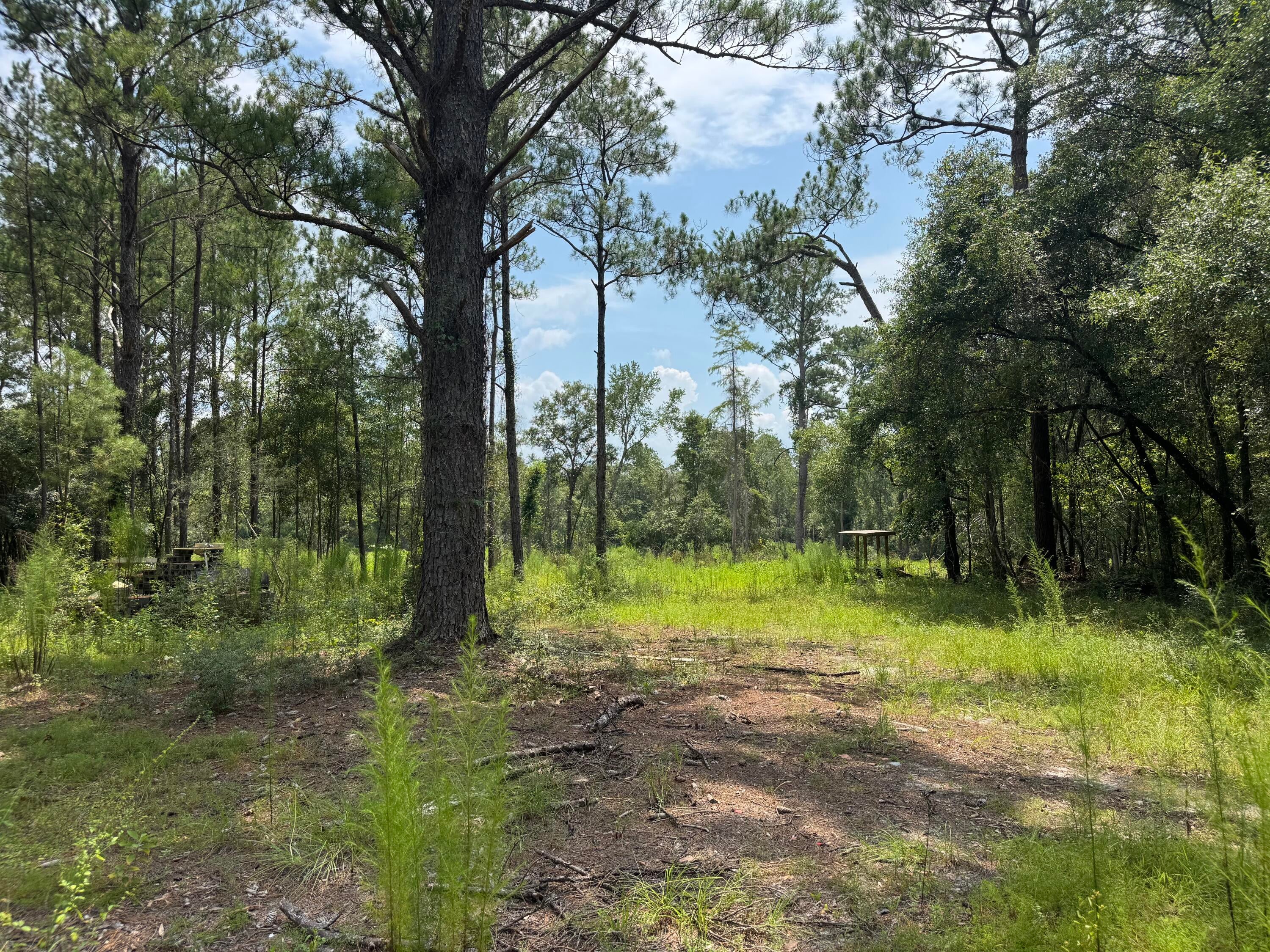 Shoal River Plantations, Inc. - Land