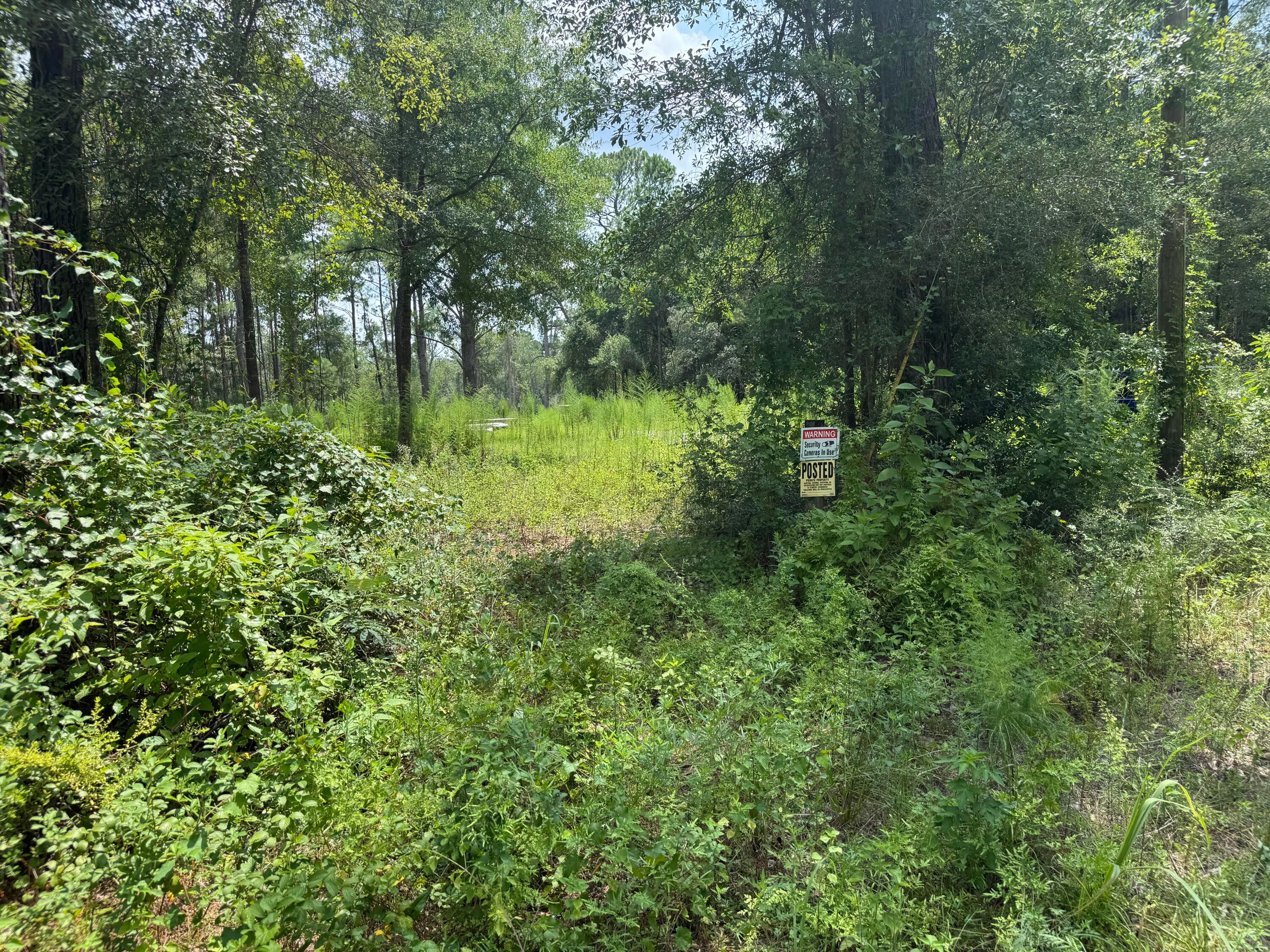 Shoal River Plantations, Inc. - Land