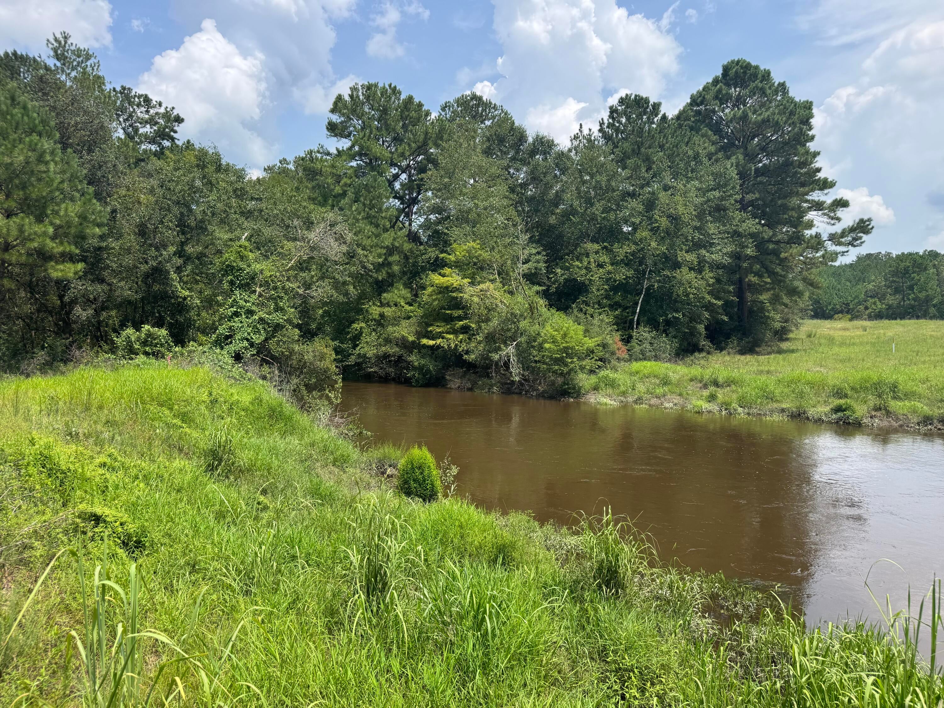 Shoal River Plantations, Inc. - Land