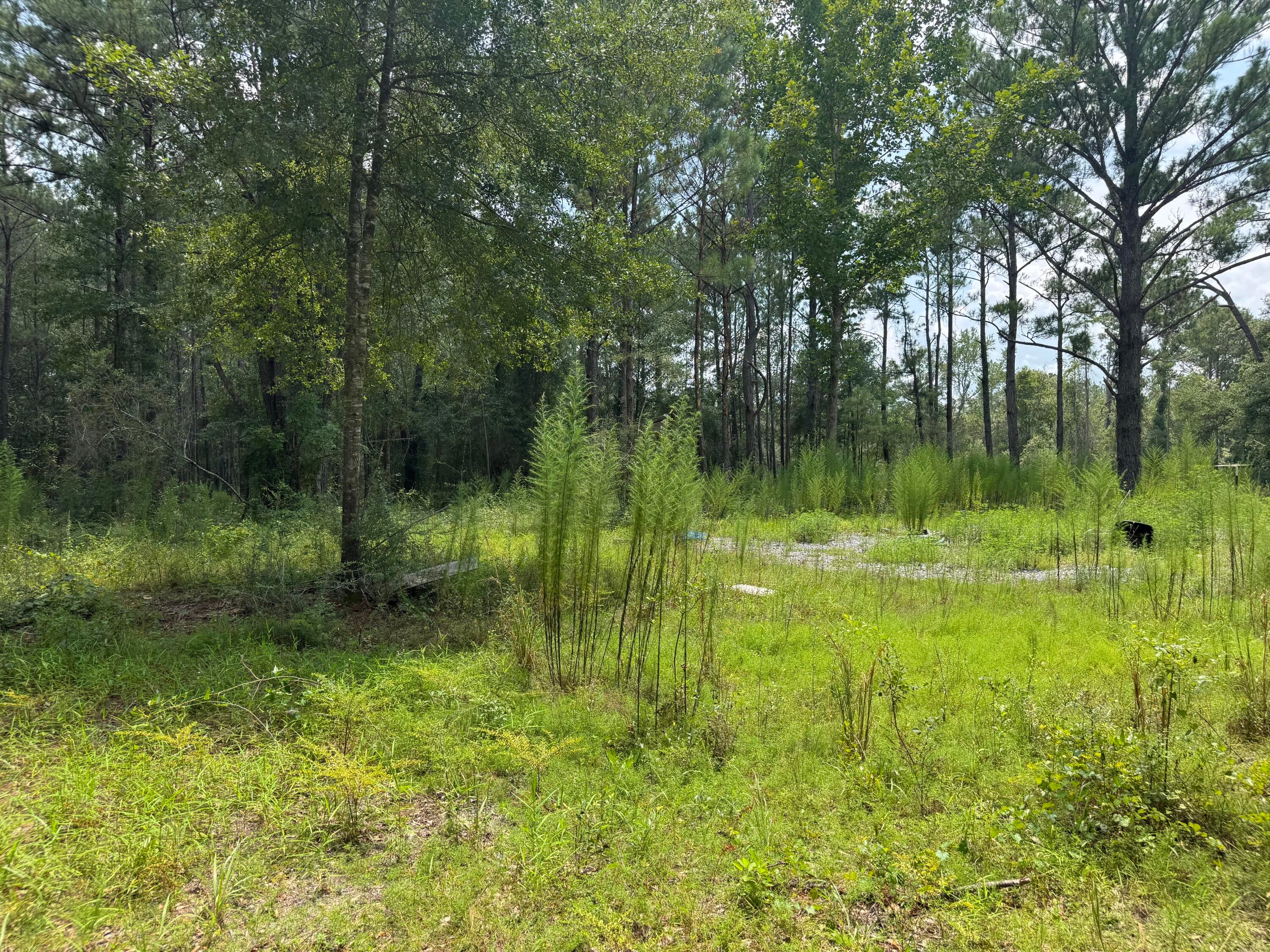 Shoal River Plantations, Inc. - Land