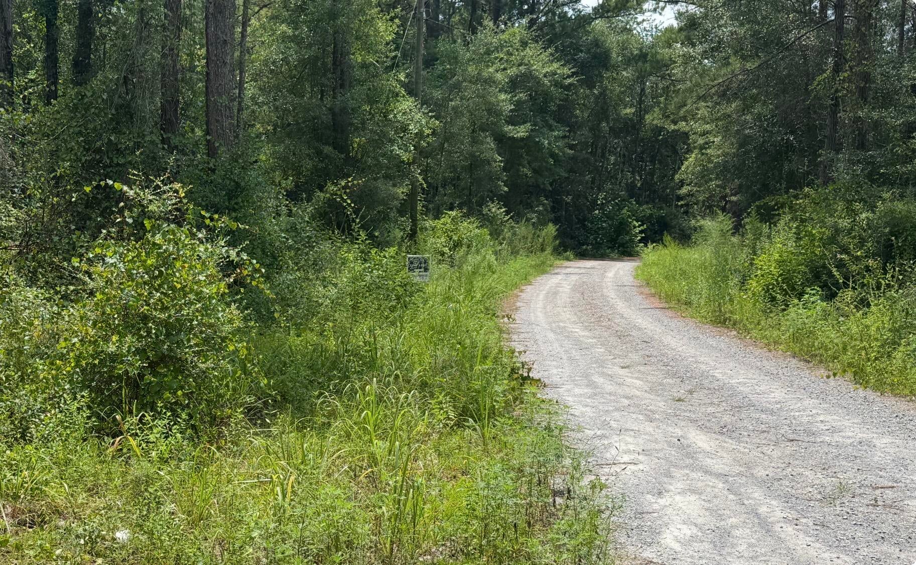 Shoal River Plantations, Inc. - Land