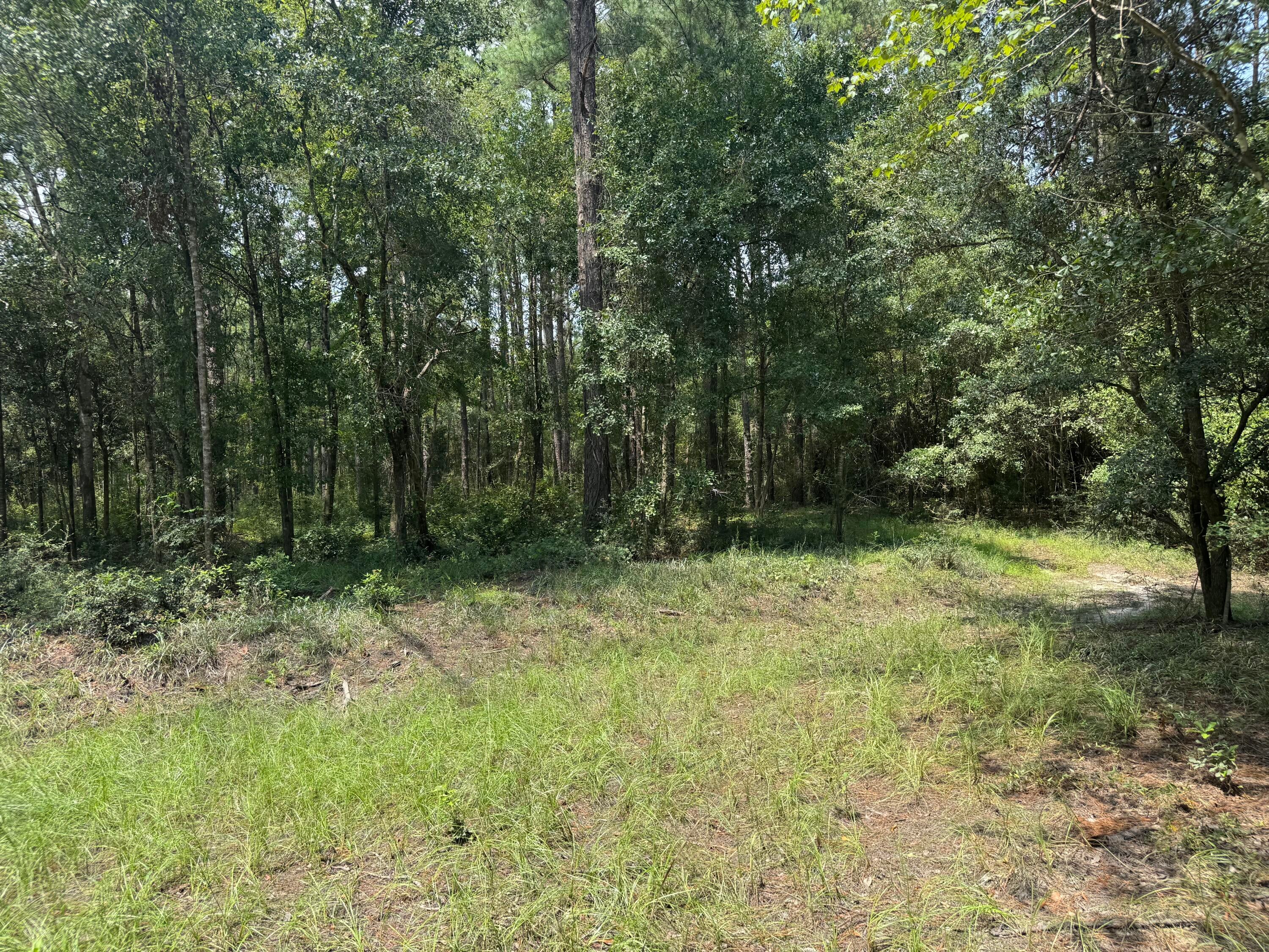 Shoal River Plantations, Inc. - Land
