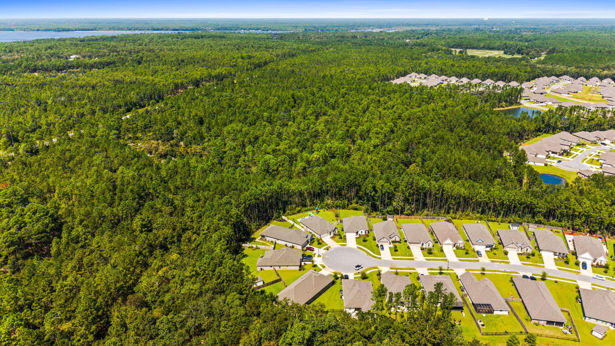 BLISS AT HAMMOCK BAY - Residential