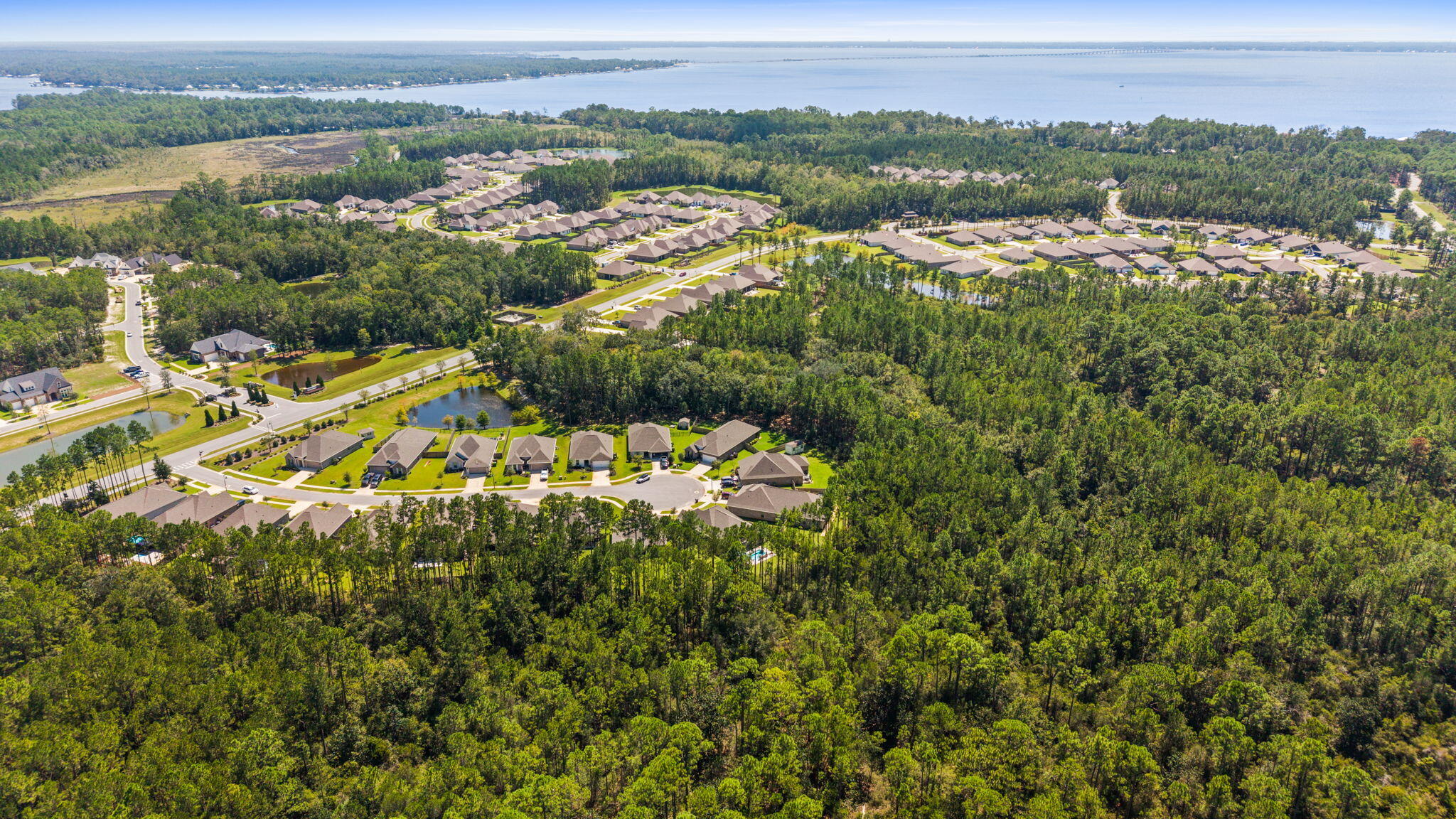 BLISS AT HAMMOCK BAY - Residential