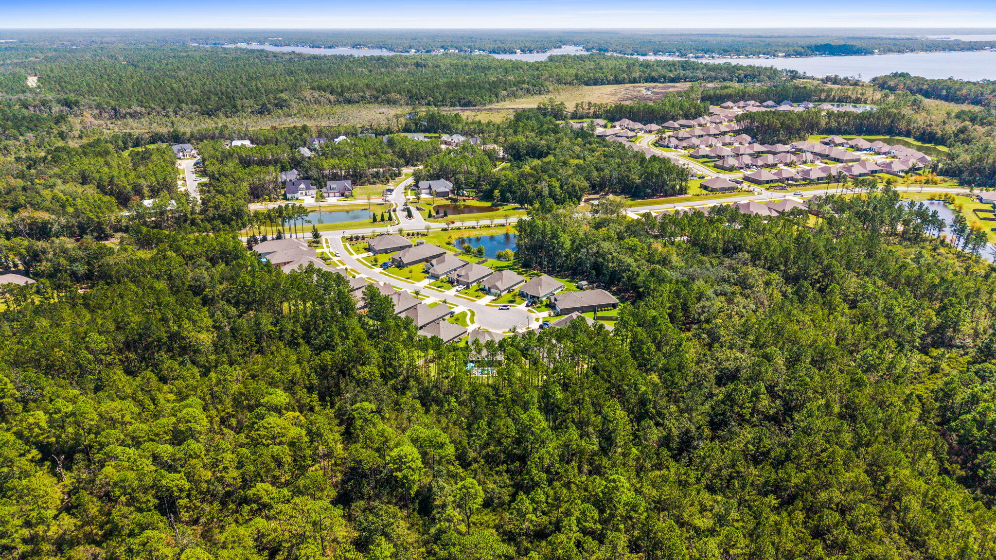 BLISS AT HAMMOCK BAY - Residential