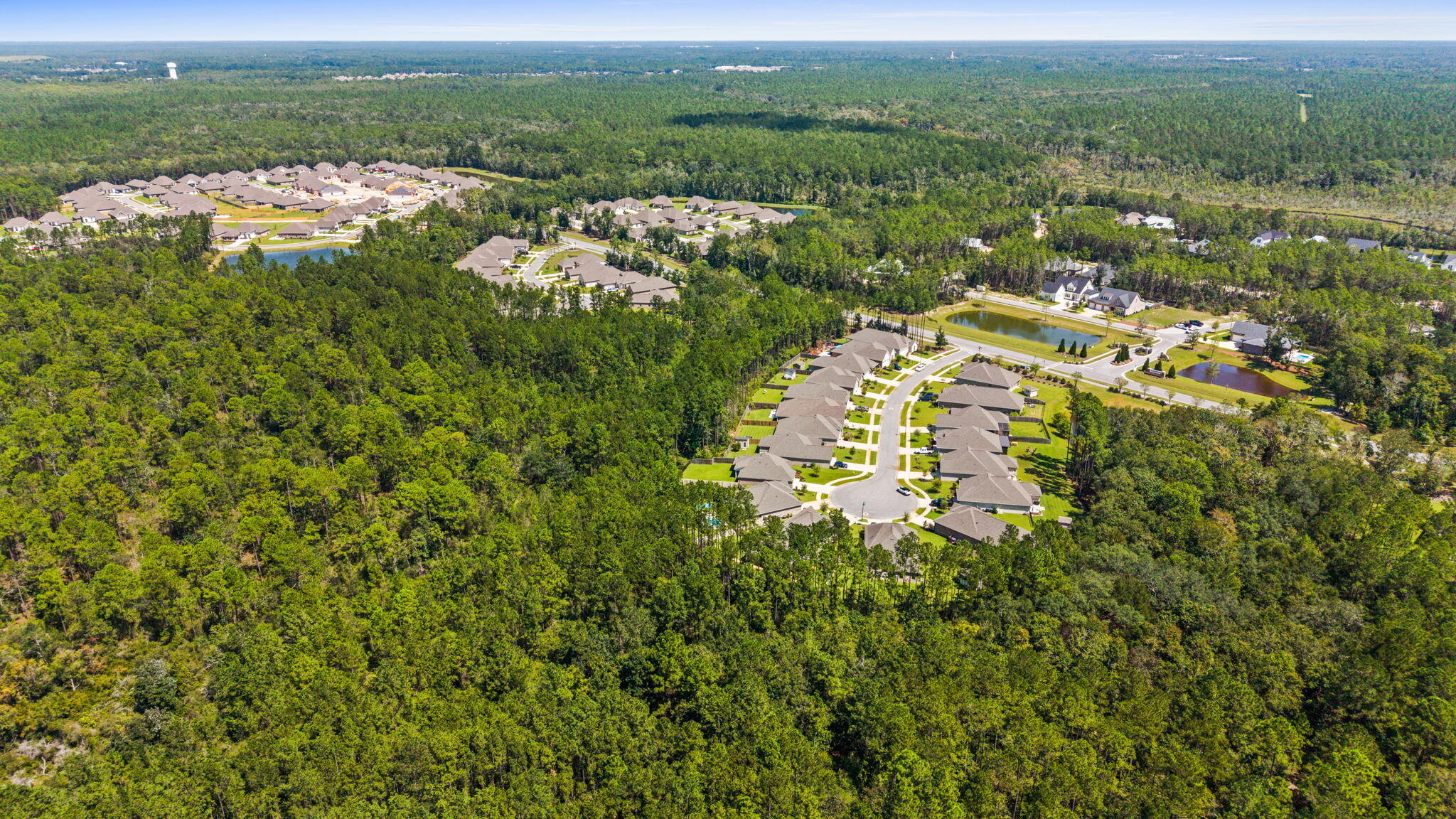 BLISS AT HAMMOCK BAY - Residential