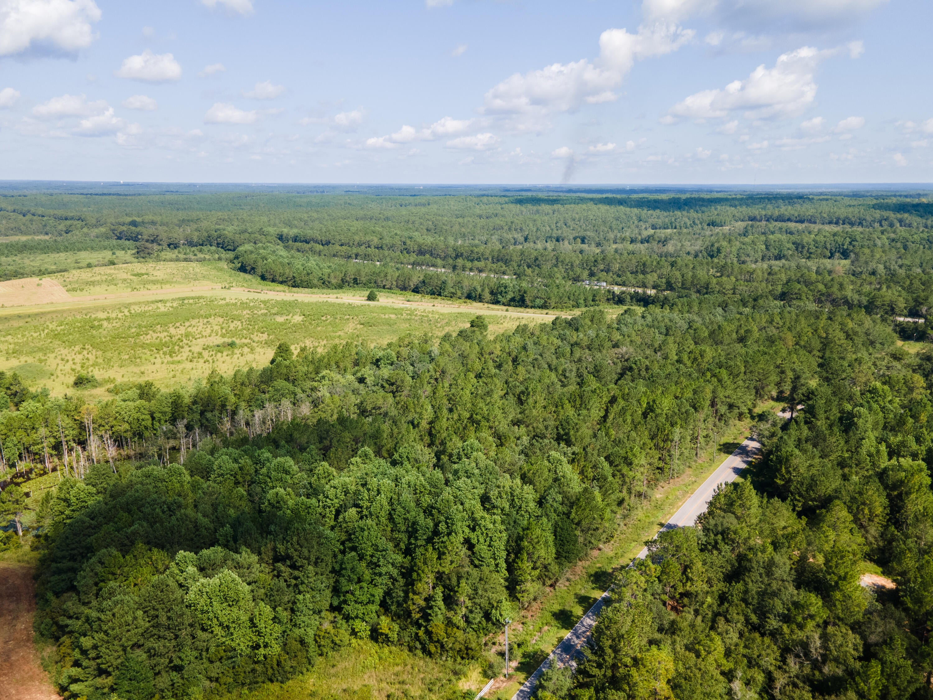 ## PARCEL 11 -- 13.14 AC -- $164,250

13.14 acres of AG-zoned land on Campbell Rd in Walton County. Raw acreage offering a mix of wooded and open ground, giving a buyer room for a homesite, pasture, or recreational plans. Electric service is available along the road.  Located minutes from downtown Defuniak Springs, a short drive to the natural spring at Ponce de Leon Springs State Park, and roughly 45 minutes from the beaches of South Walton. Suited to a homesite, small farm, or recreational use.