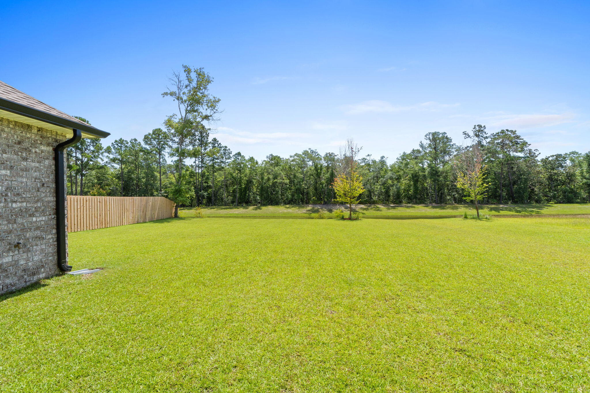 HAMMOCK BAY - BIRD SONG - Residential