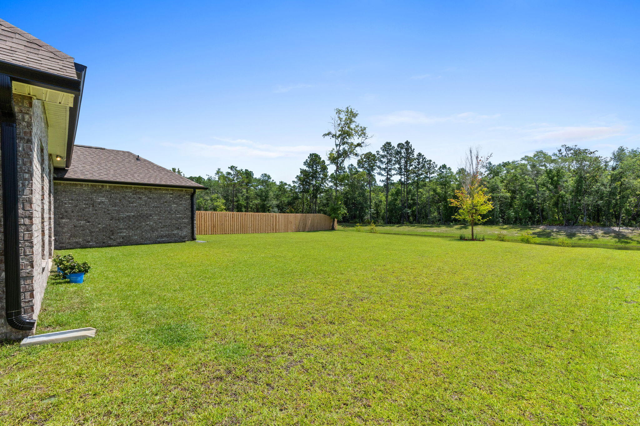 HAMMOCK BAY - BIRD SONG - Residential
