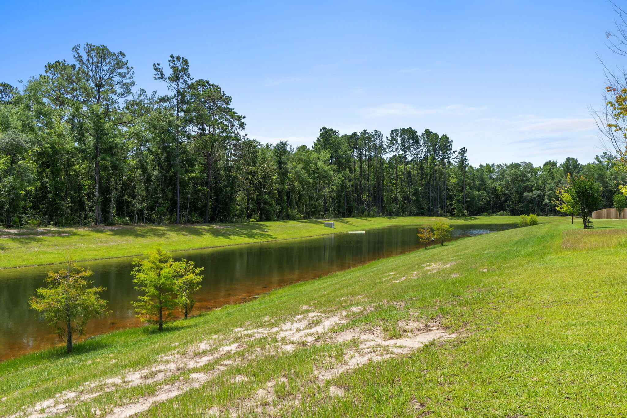 HAMMOCK BAY - BIRD SONG - Residential