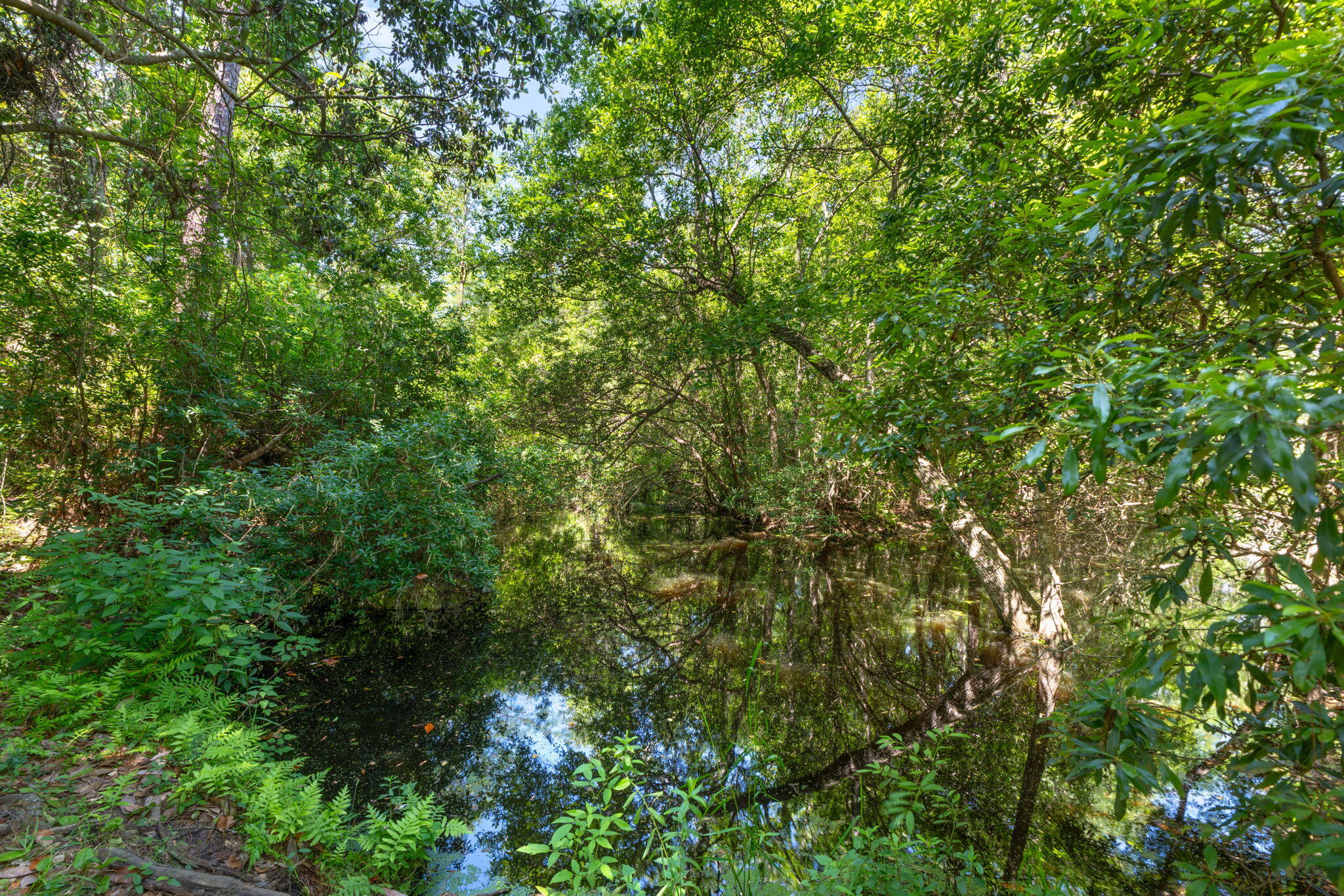 WILLIAMS CREEK ESTATES - Residential