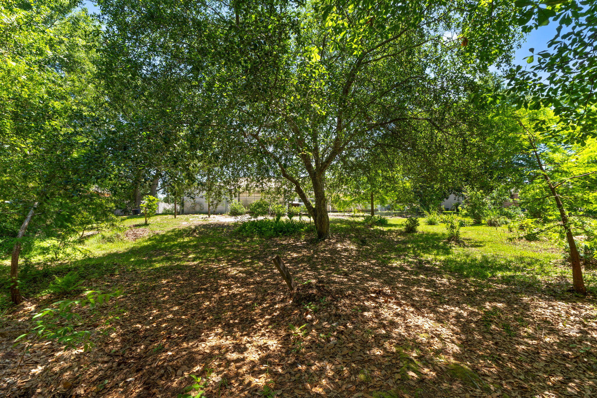 WILLIAMS CREEK ESTATES - Residential