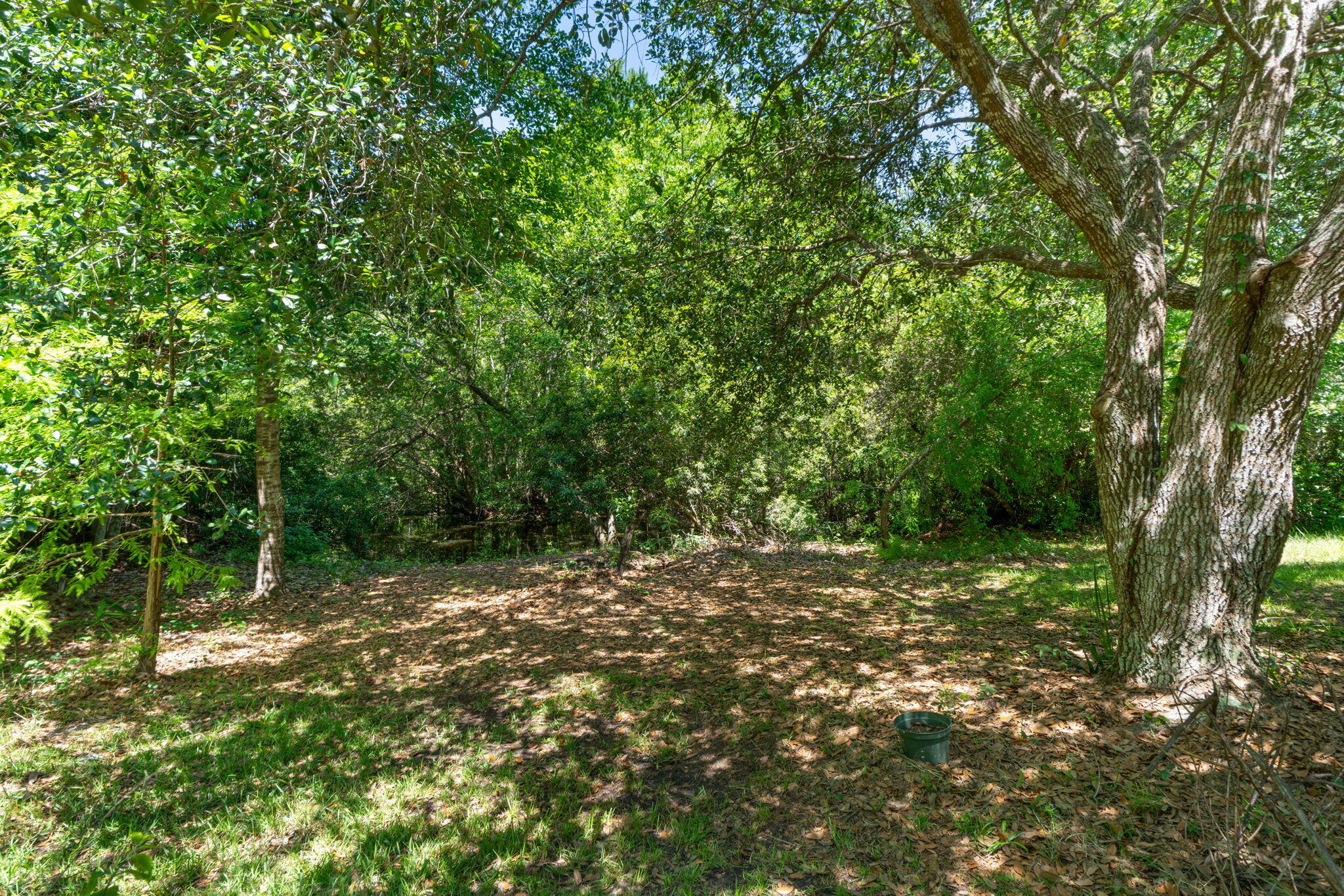 WILLIAMS CREEK ESTATES - Residential