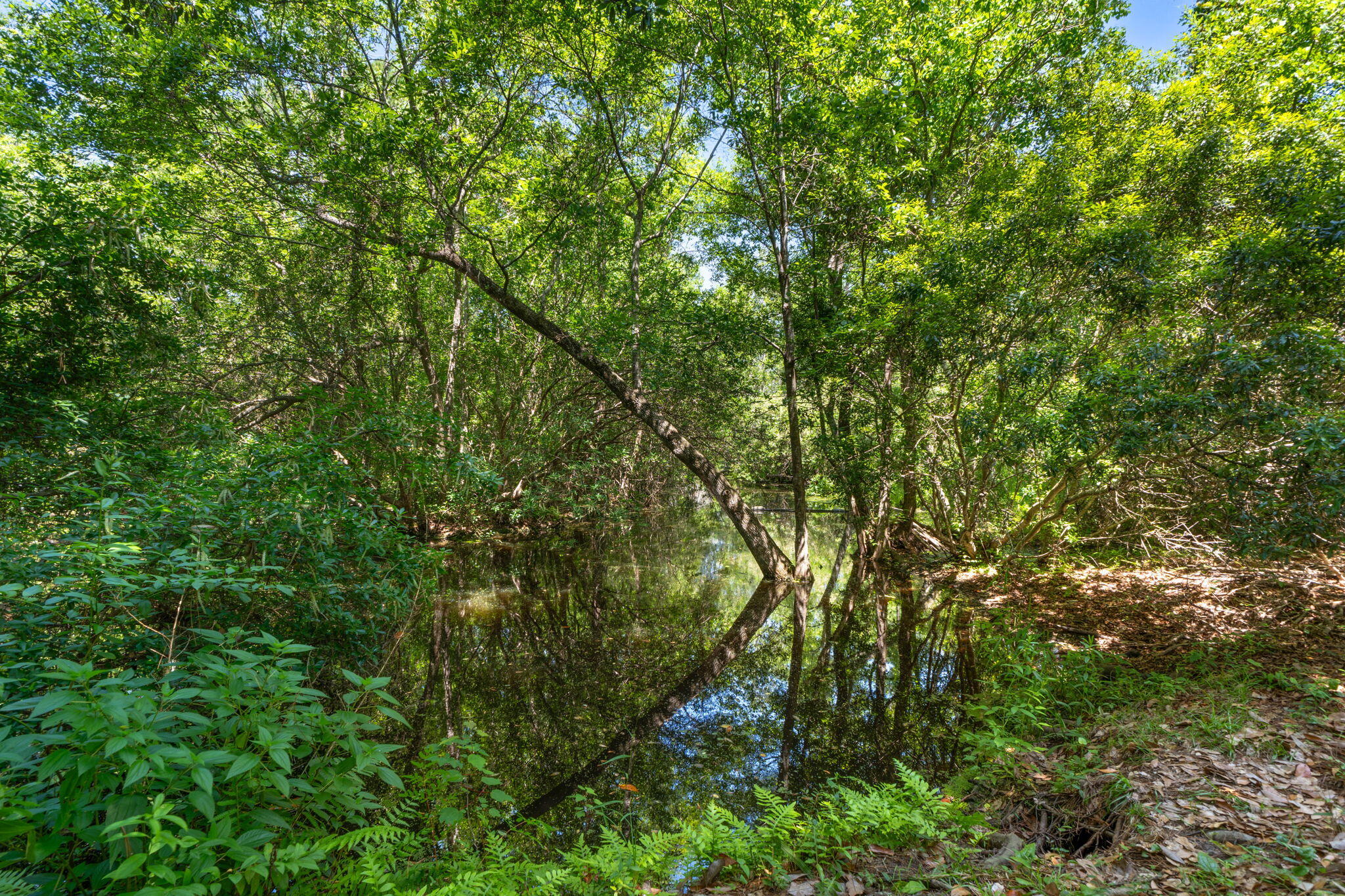 WILLIAMS CREEK ESTATES - Residential