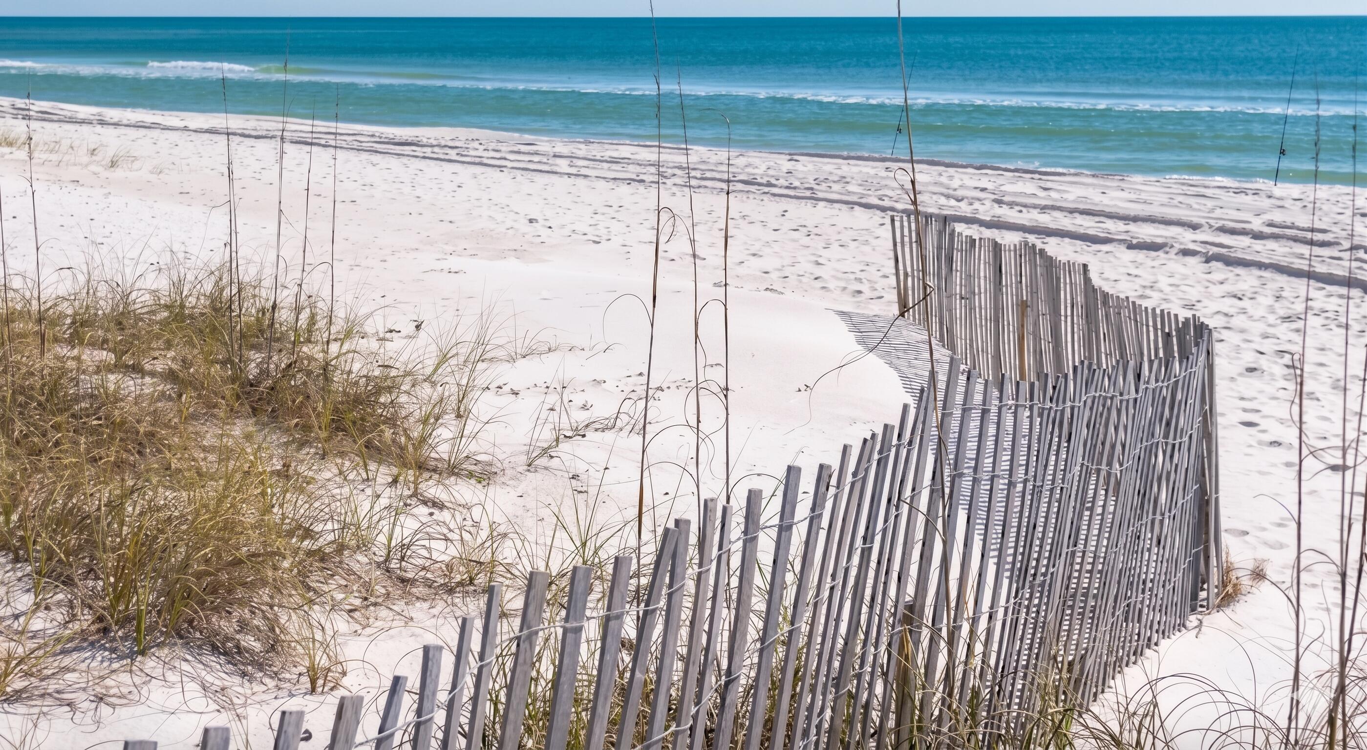Inlet Beach - Land