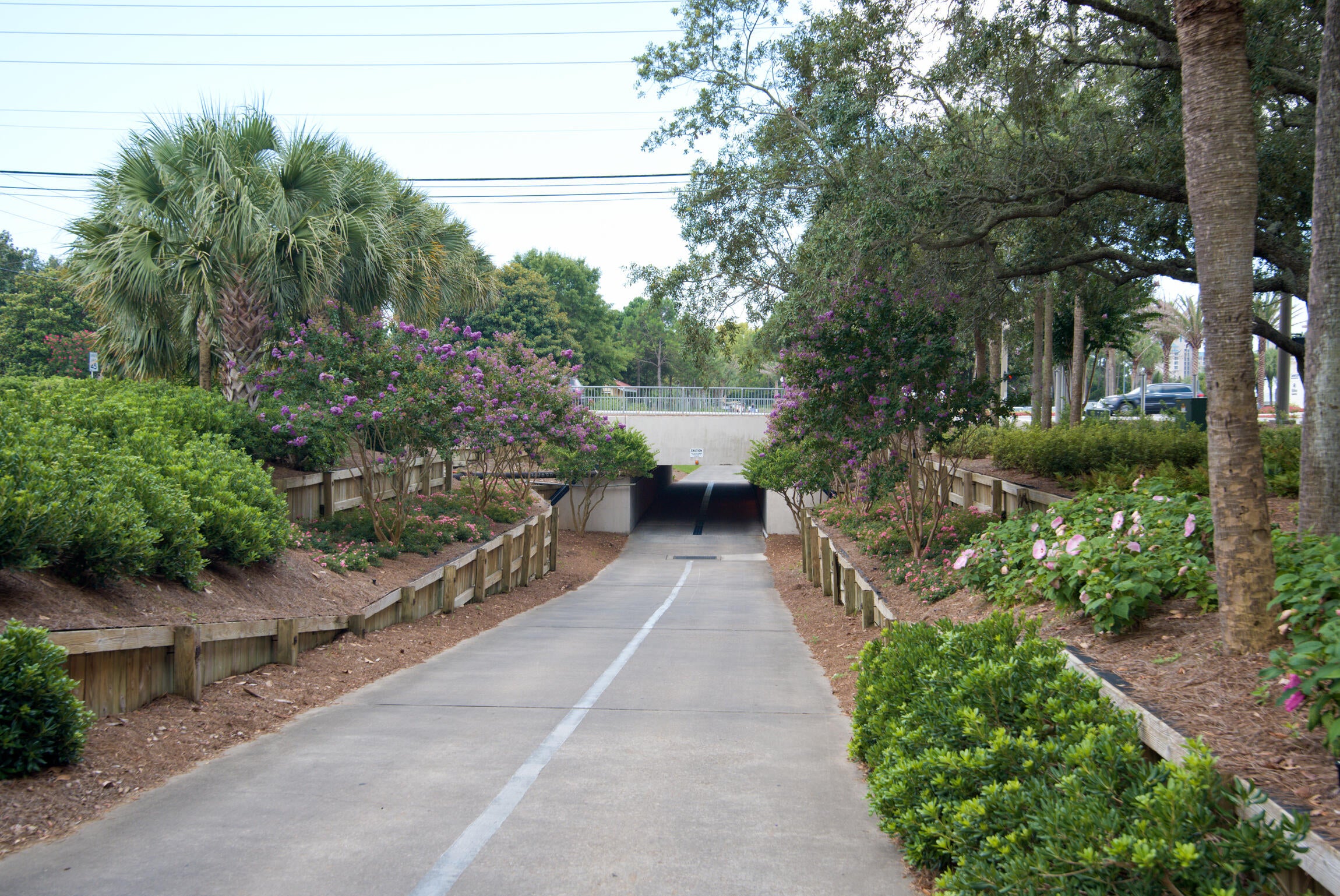 AUGUSTA VILLAGE CONDO - Residential