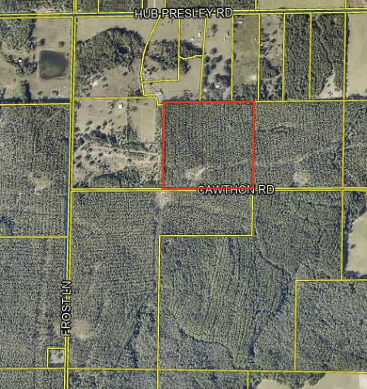 Back in the market at no fault of the Seller.
40 Acres of wooded land now available in Northwest Walton!  Adjacent Parcel on the east side also available for a total of 80 Acres.  Marketable timber in place, good hunting area or place to get-away from it all and enjoy a slower pace.  Paved road.  Nice elevation.  Take a look and see if this is your next adventure!