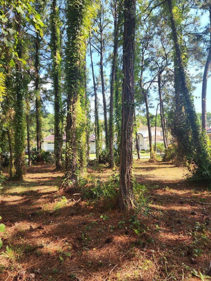 EMERALD BAY PH 1A - Land