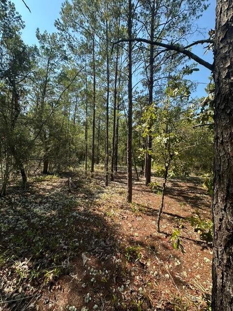 OAKWOOD HILLS UNIT 3 - Land