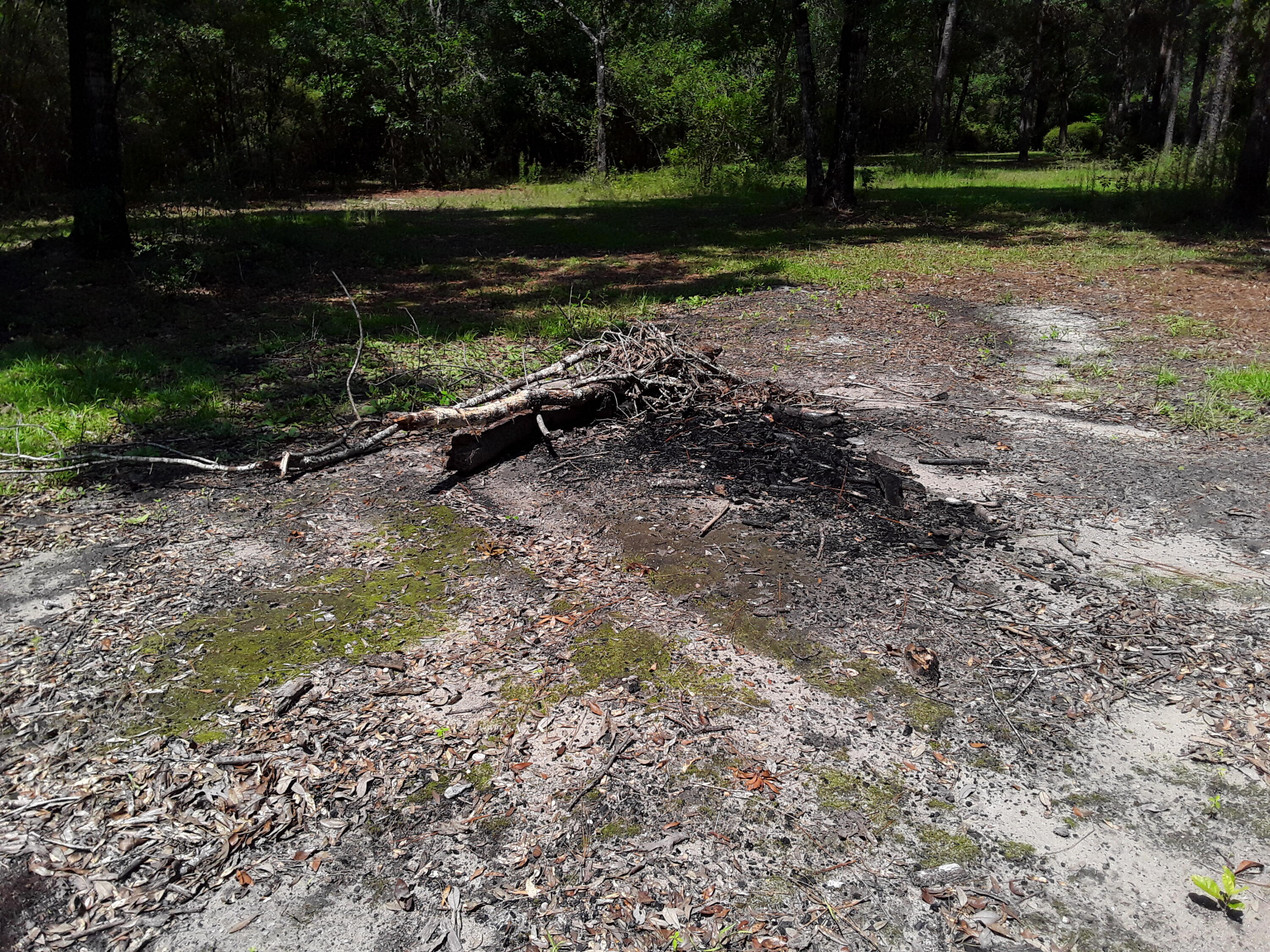Kings Lake Rd - Residential