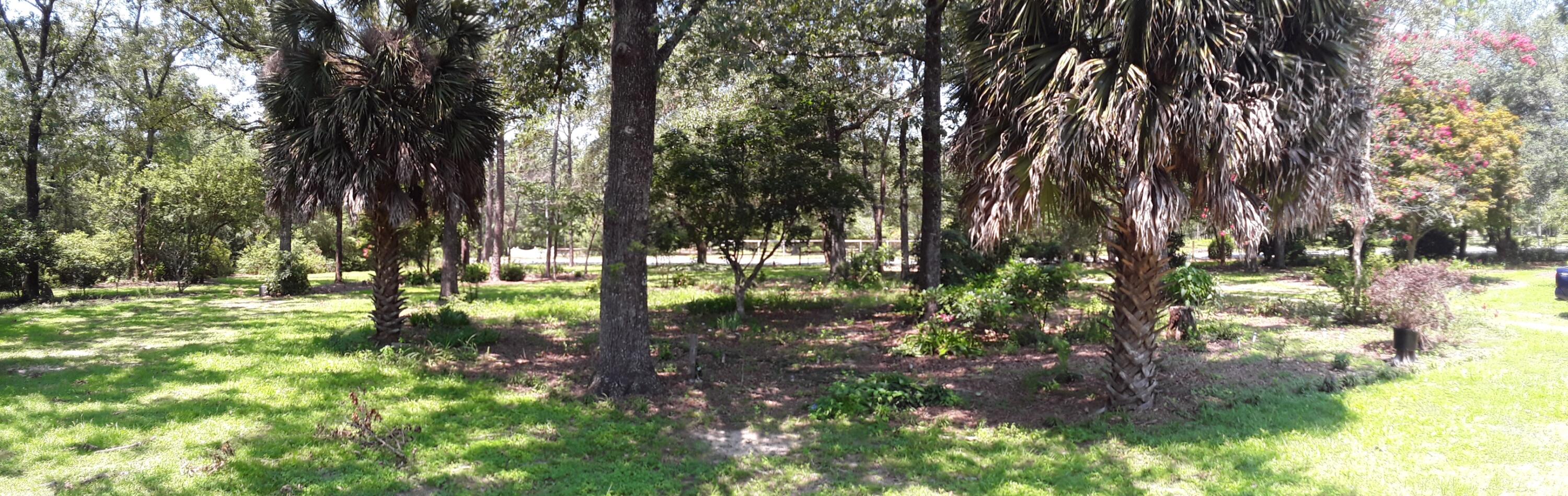 Kings Lake Rd - Residential