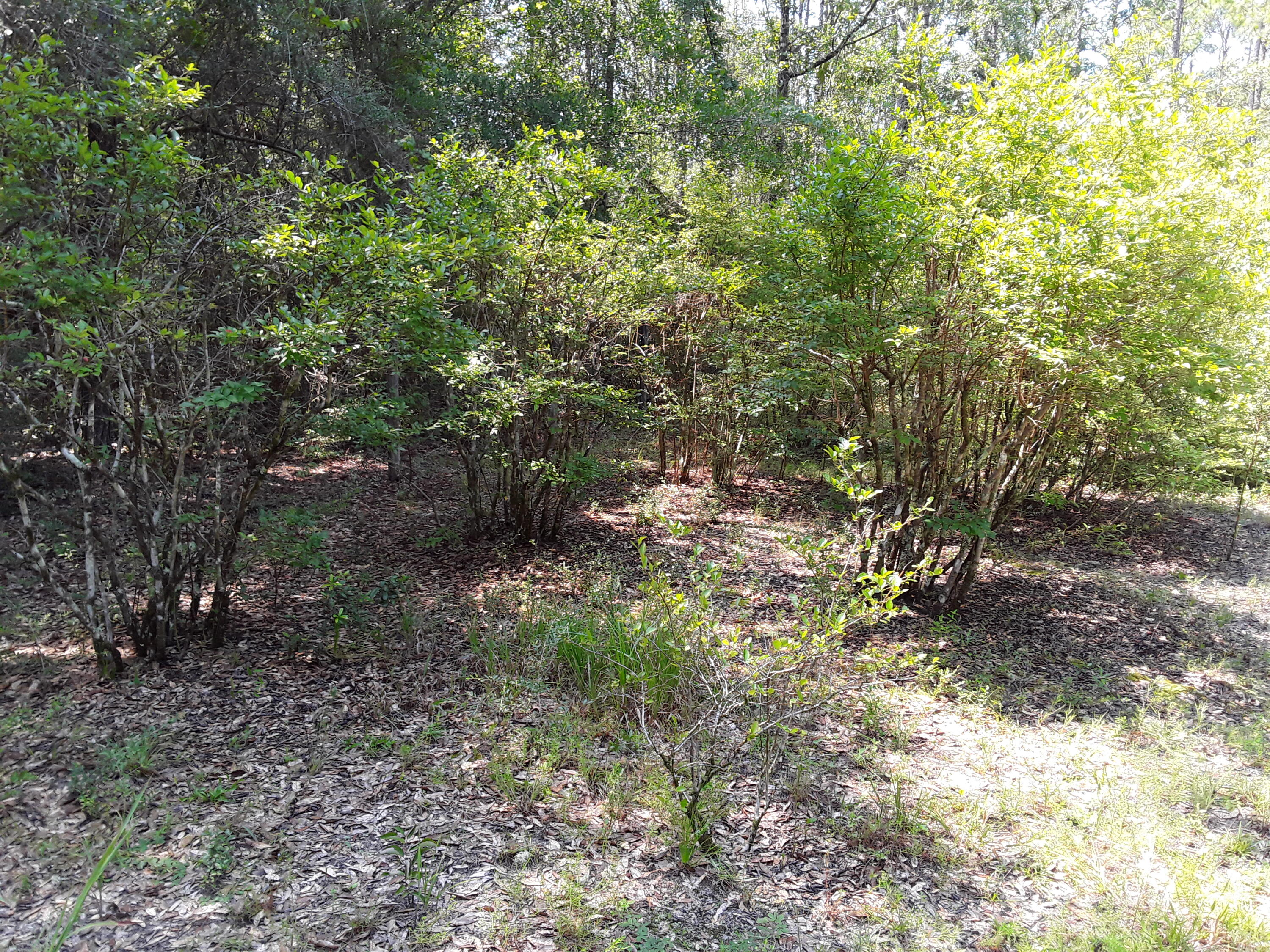 Kings Lake Rd - Residential