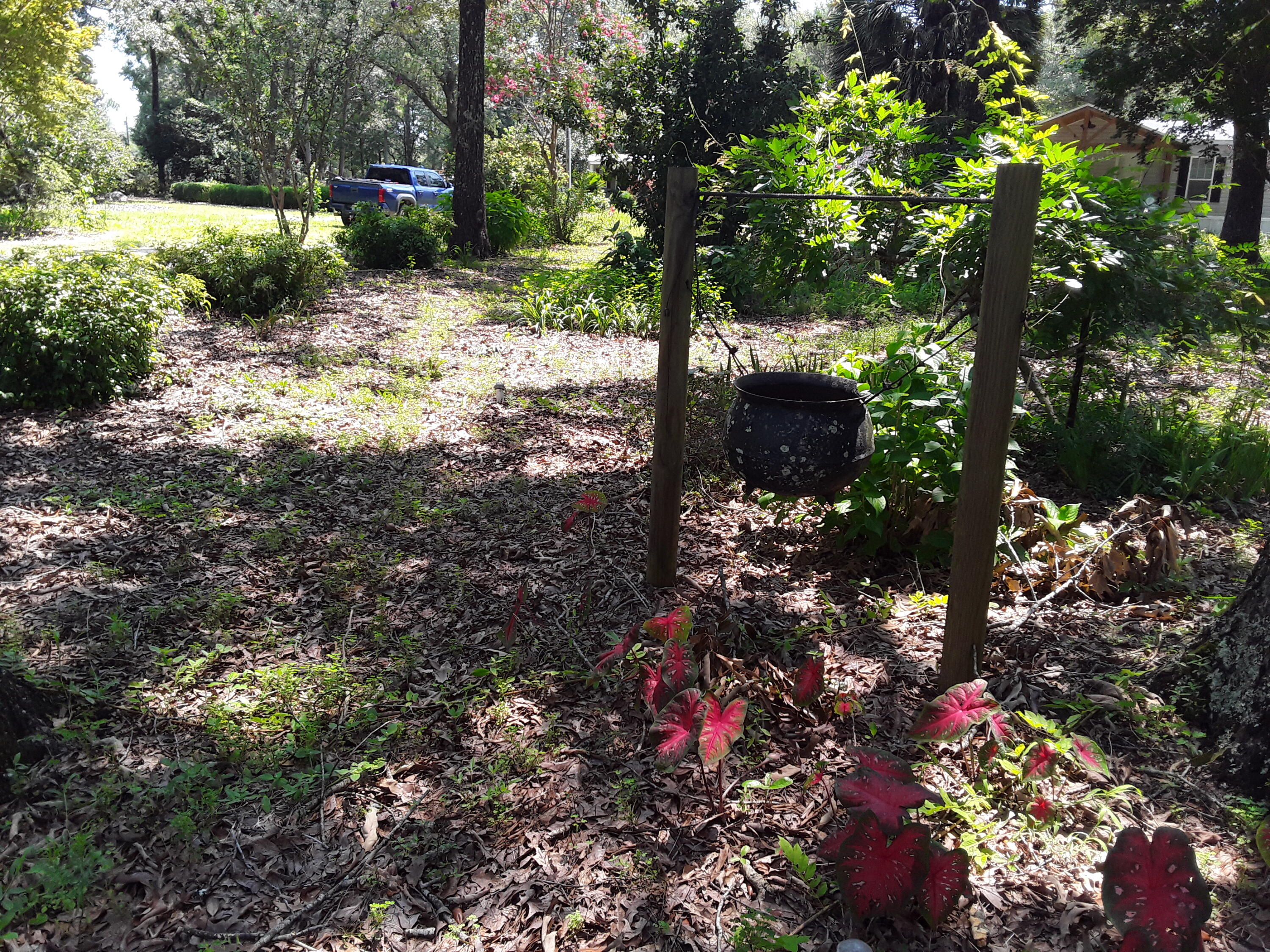 Kings Lake Rd - Residential