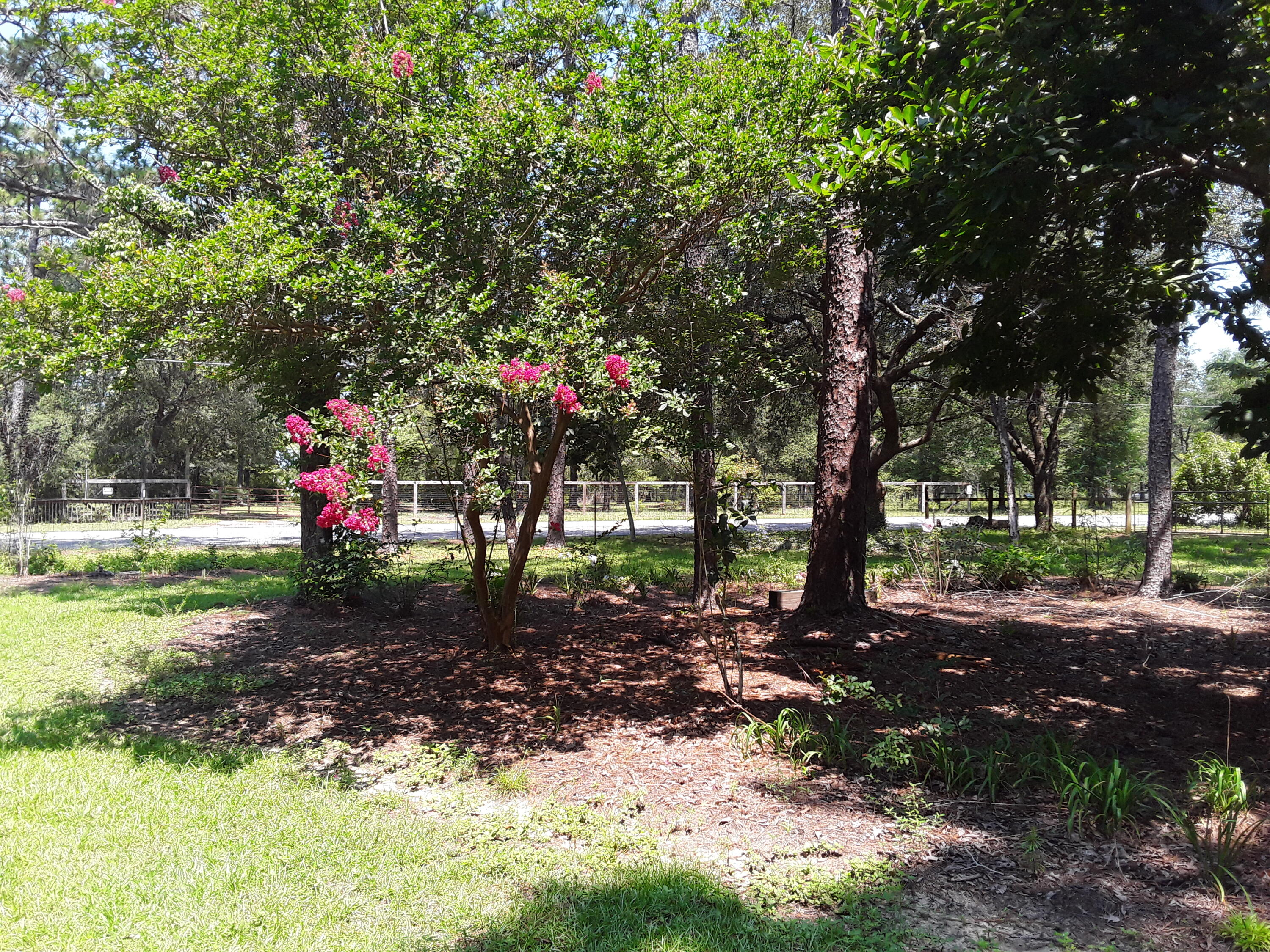 Kings Lake Rd - Residential