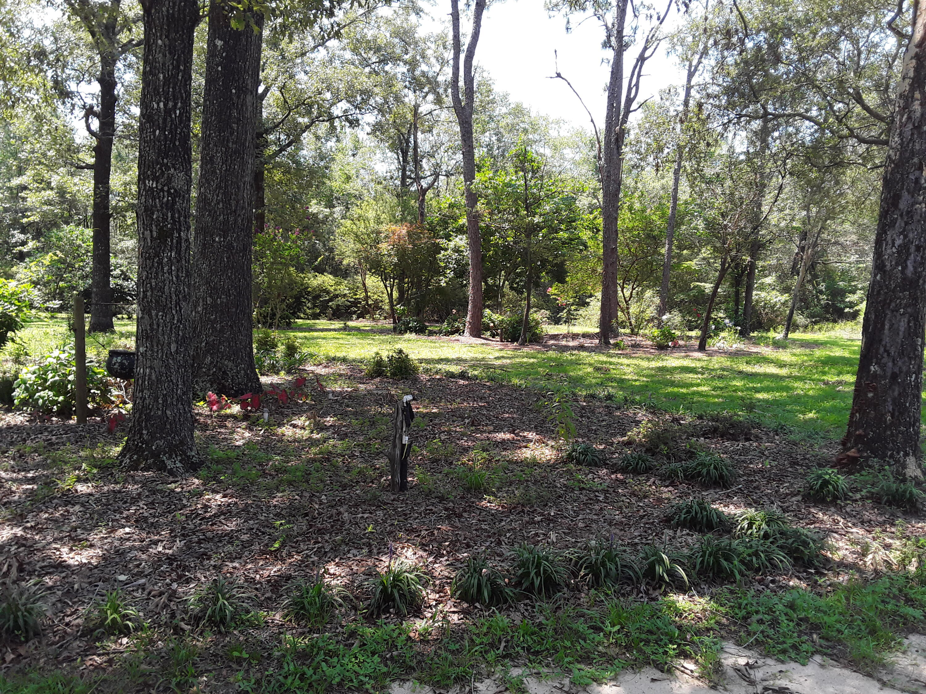Kings Lake Rd - Residential