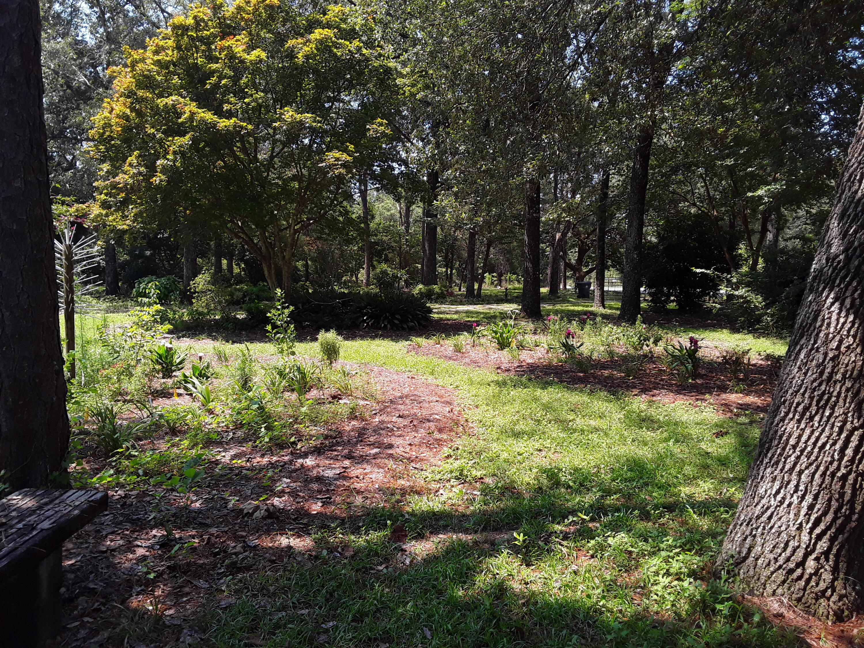Kings Lake Rd - Residential