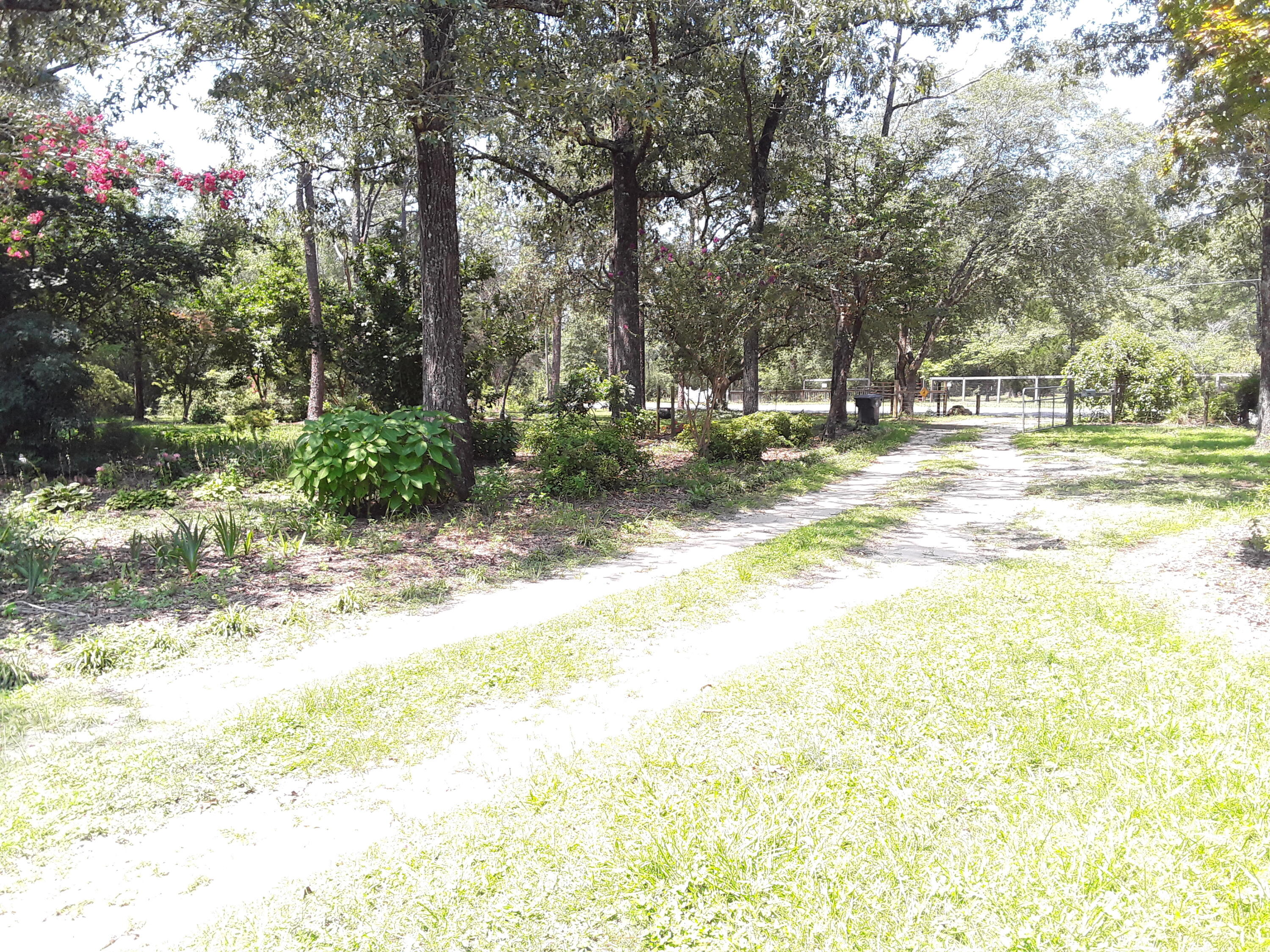 Kings Lake Rd - Residential