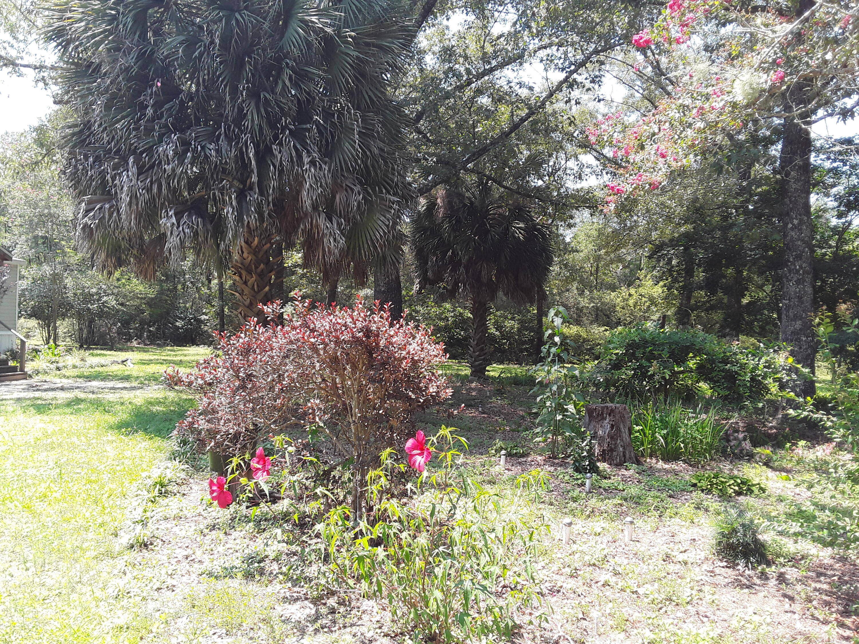 Kings Lake Rd - Residential