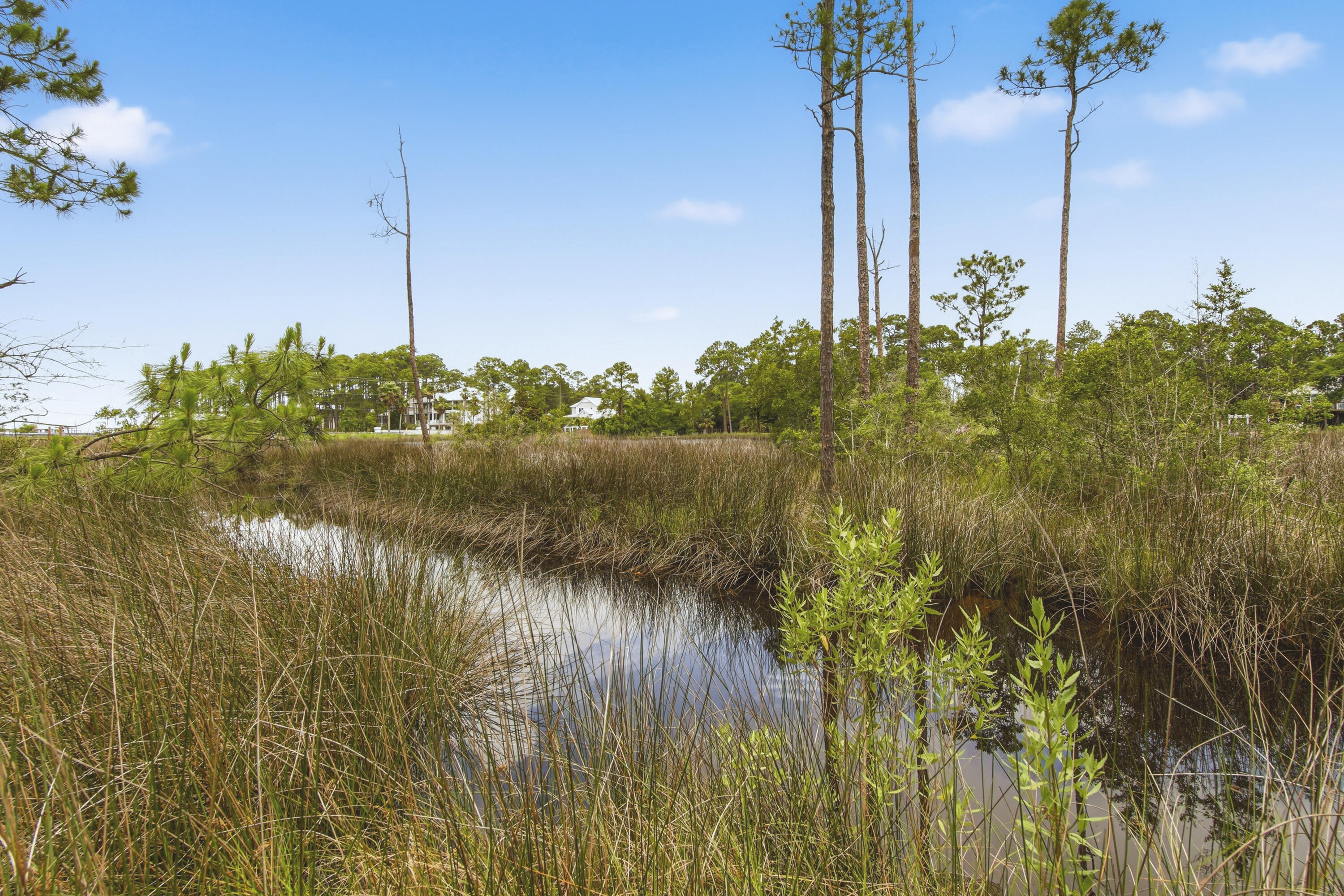 MILLS BAYOU - Residential