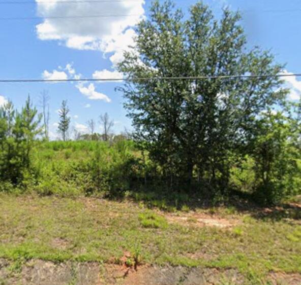 Future Development: An ideal, secluded, yet accessible site for a future private estate or homestead. The large acreage ensures total privacy without sacrificing convenient access to Downtown Quincy and a quick commute to Tallahassee.

The property features road frontage on Bainbridge Highway and a favorable topography for management and building. Buyer to verify all intended uses, zoning, and utilities. Don't miss the chance to diversify your portfolio with a high-value, low-maintenance asset!