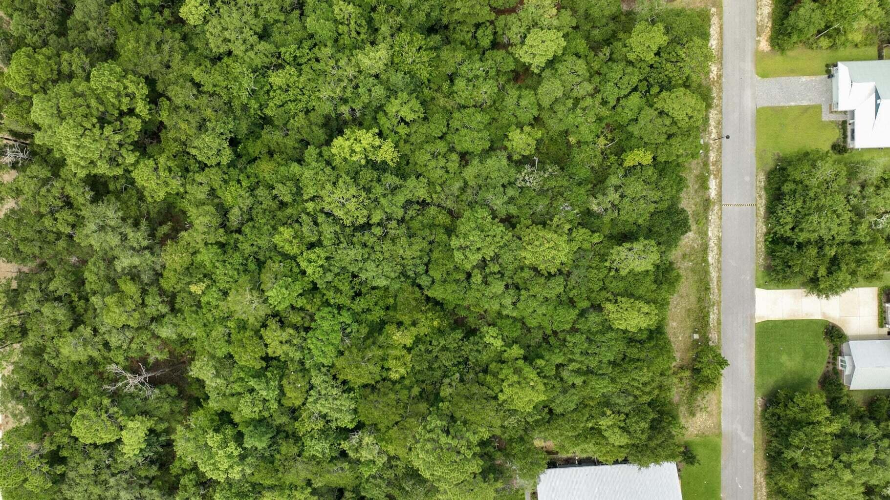 BEAR CREEK COTTAGES - Land