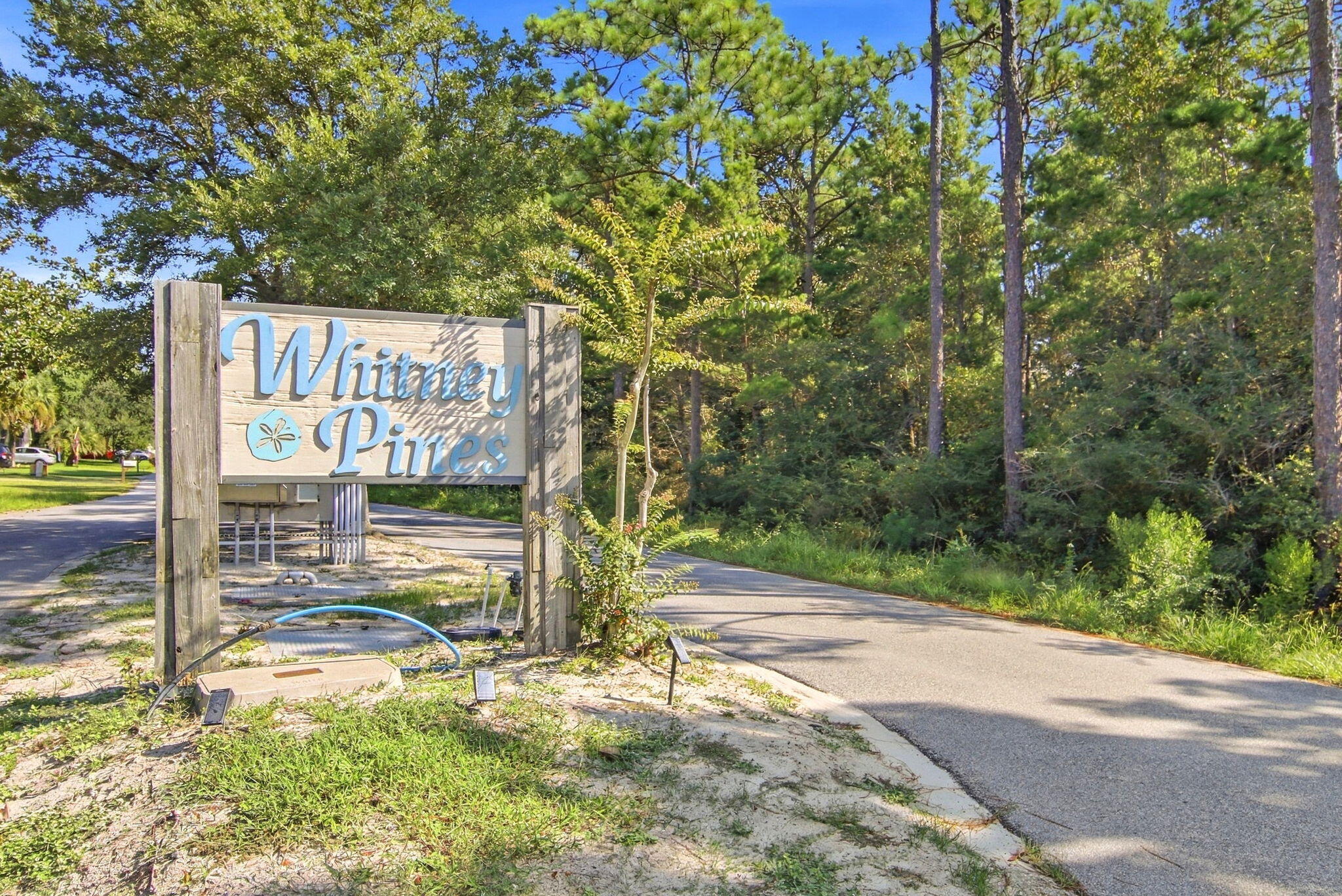 WHITNEY PINES - Residential