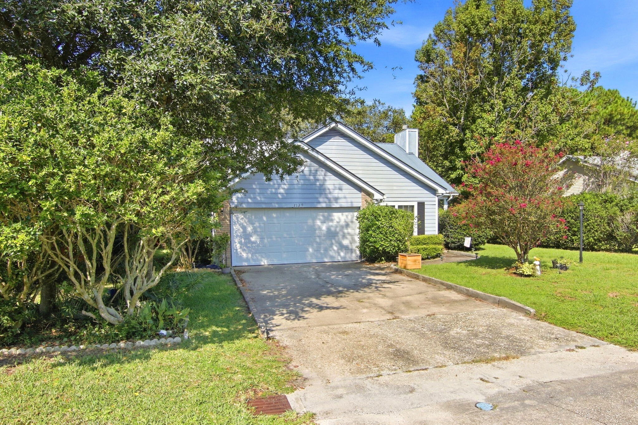 WHITNEY PINES - Residential