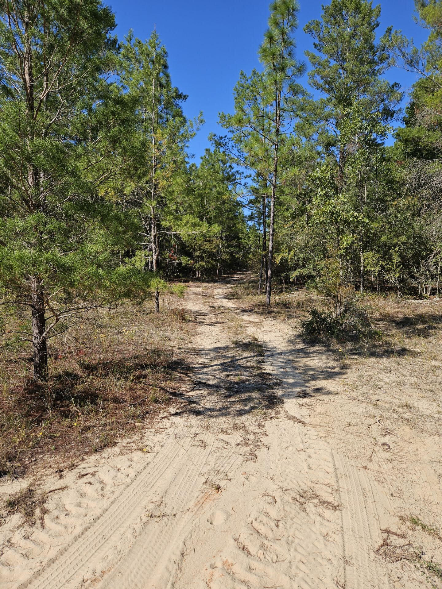 WOODLANDS OF CLEAR CREEK, UNRECORDED - Land