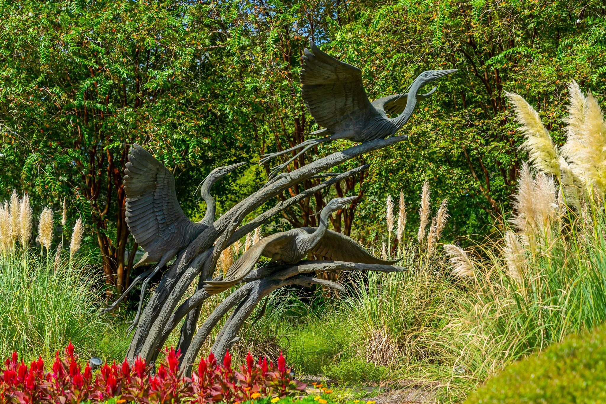 Wild Heron - Residential
