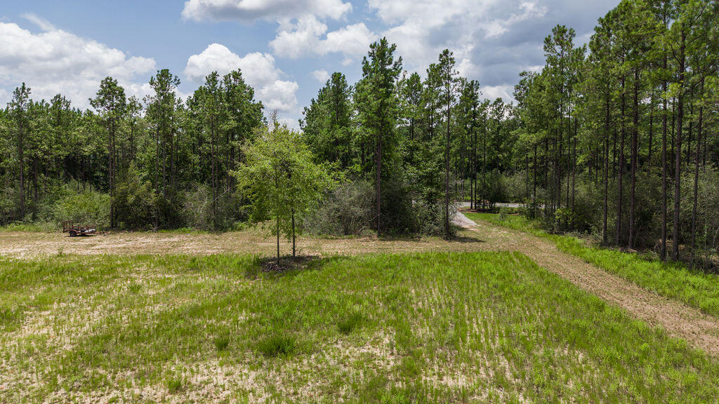 NatureWalk at Pond Creek - Land