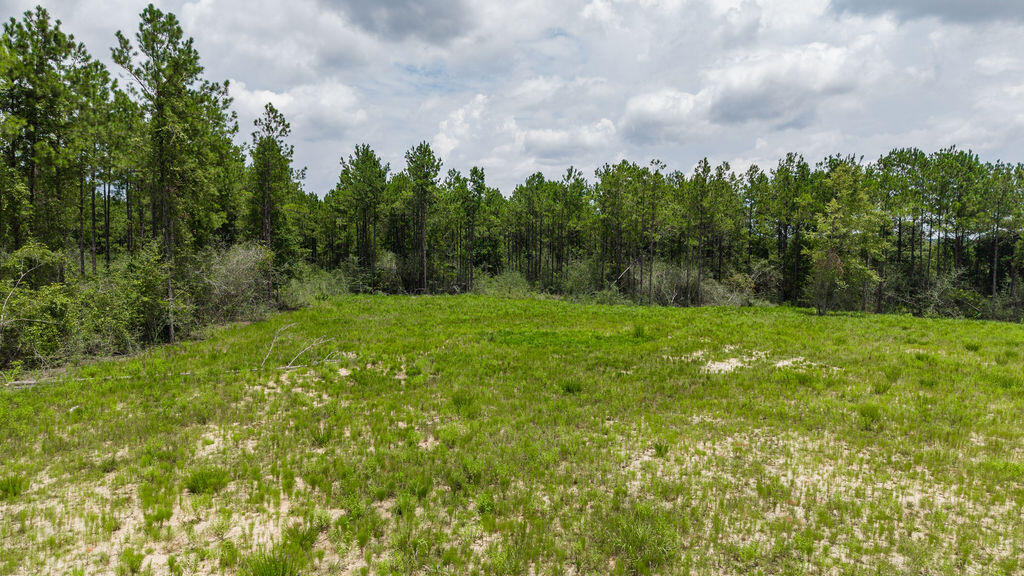 NatureWalk at Pond Creek - Land