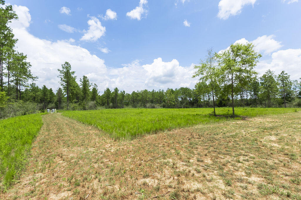 NatureWalk at Pond Creek - Land
