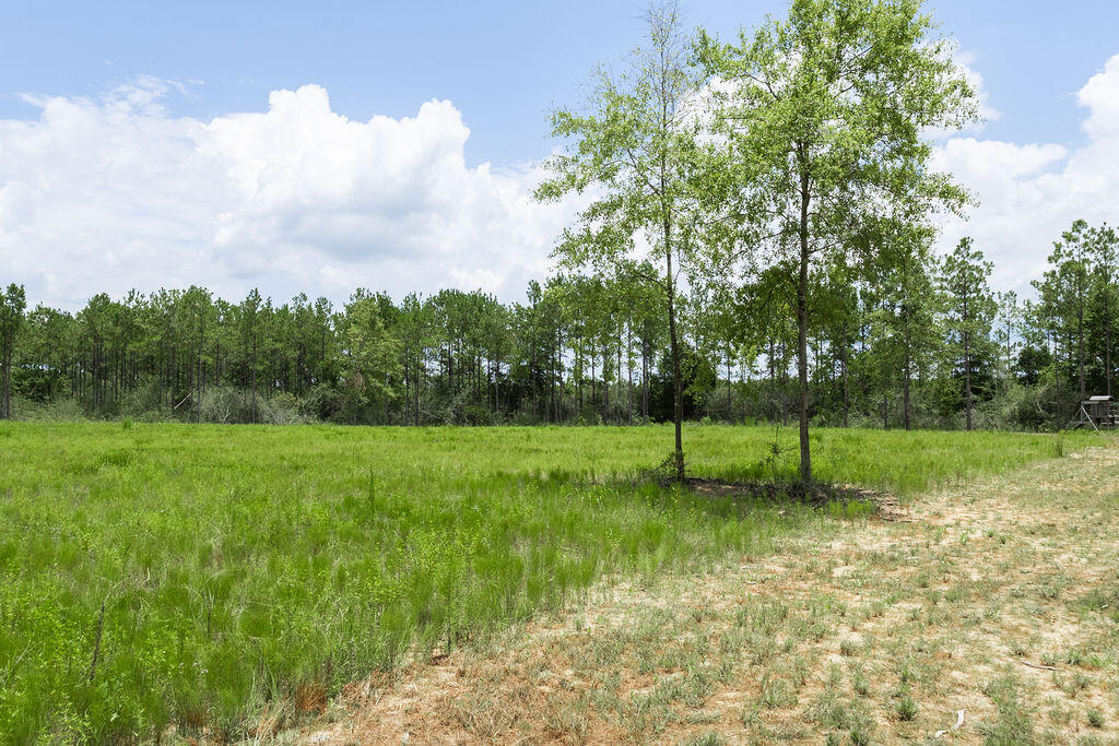 NatureWalk at Pond Creek - Land