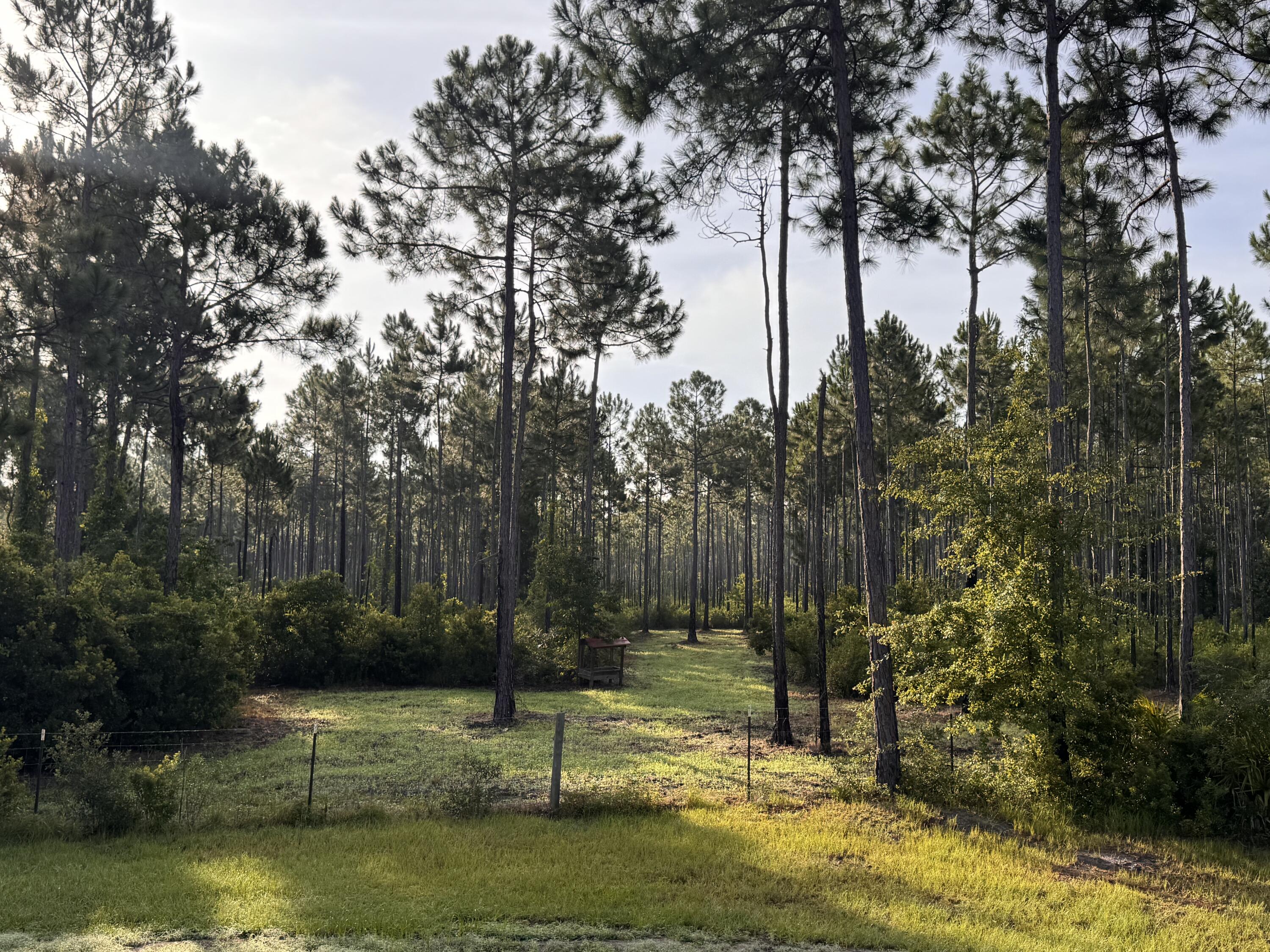 NO RECORDED SUBDIVISION - Land